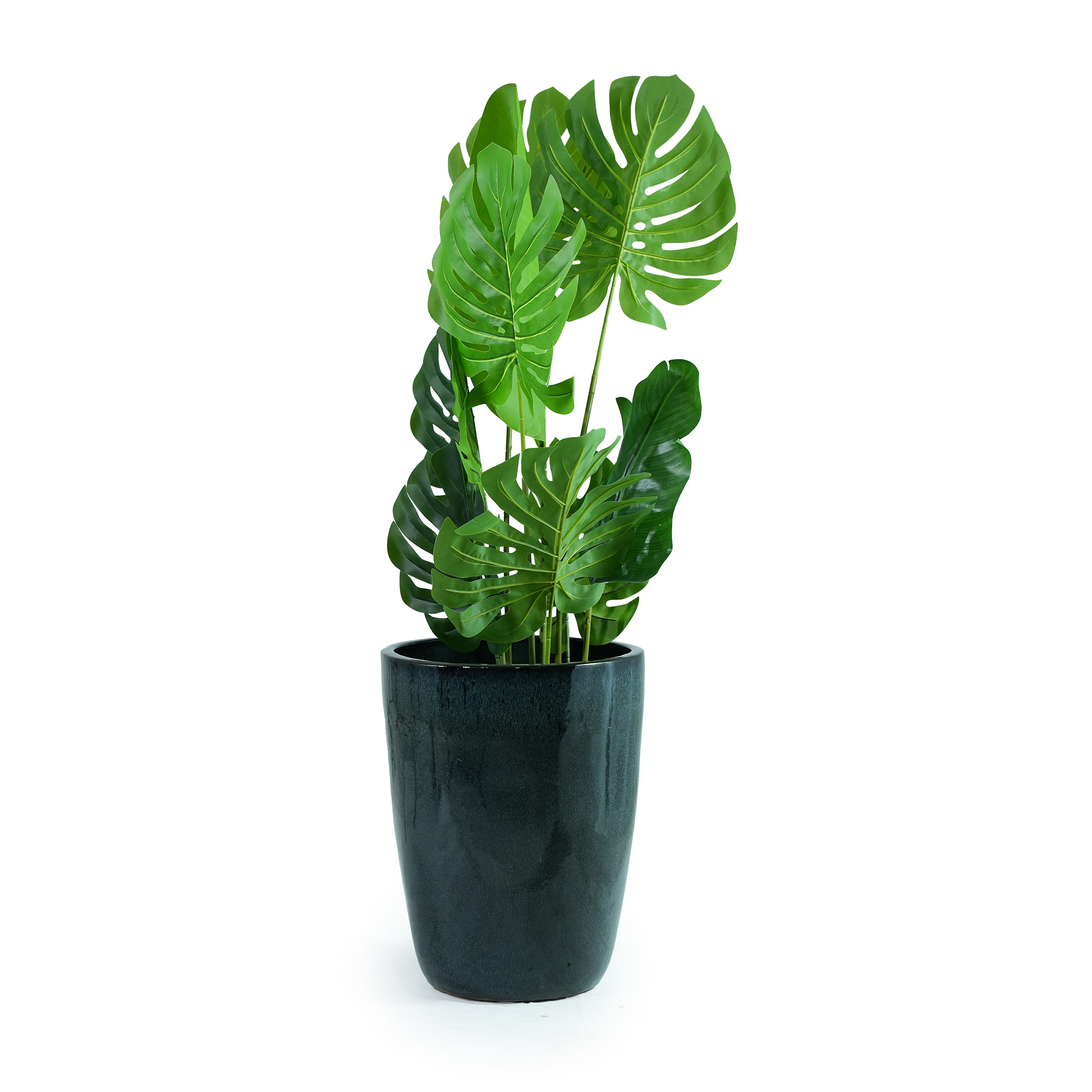 Présentation du bac à plantes