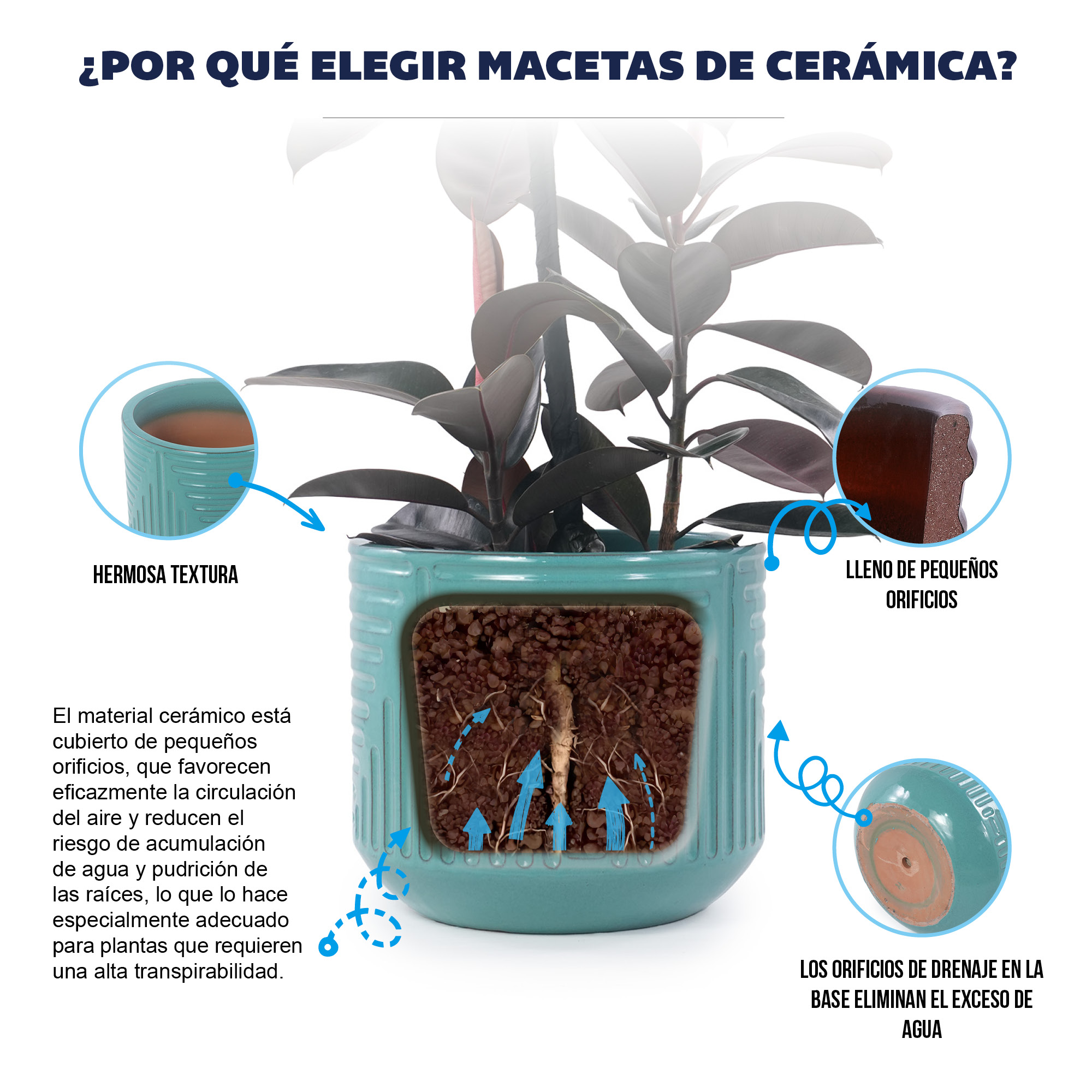 Présentation du bac à plantes