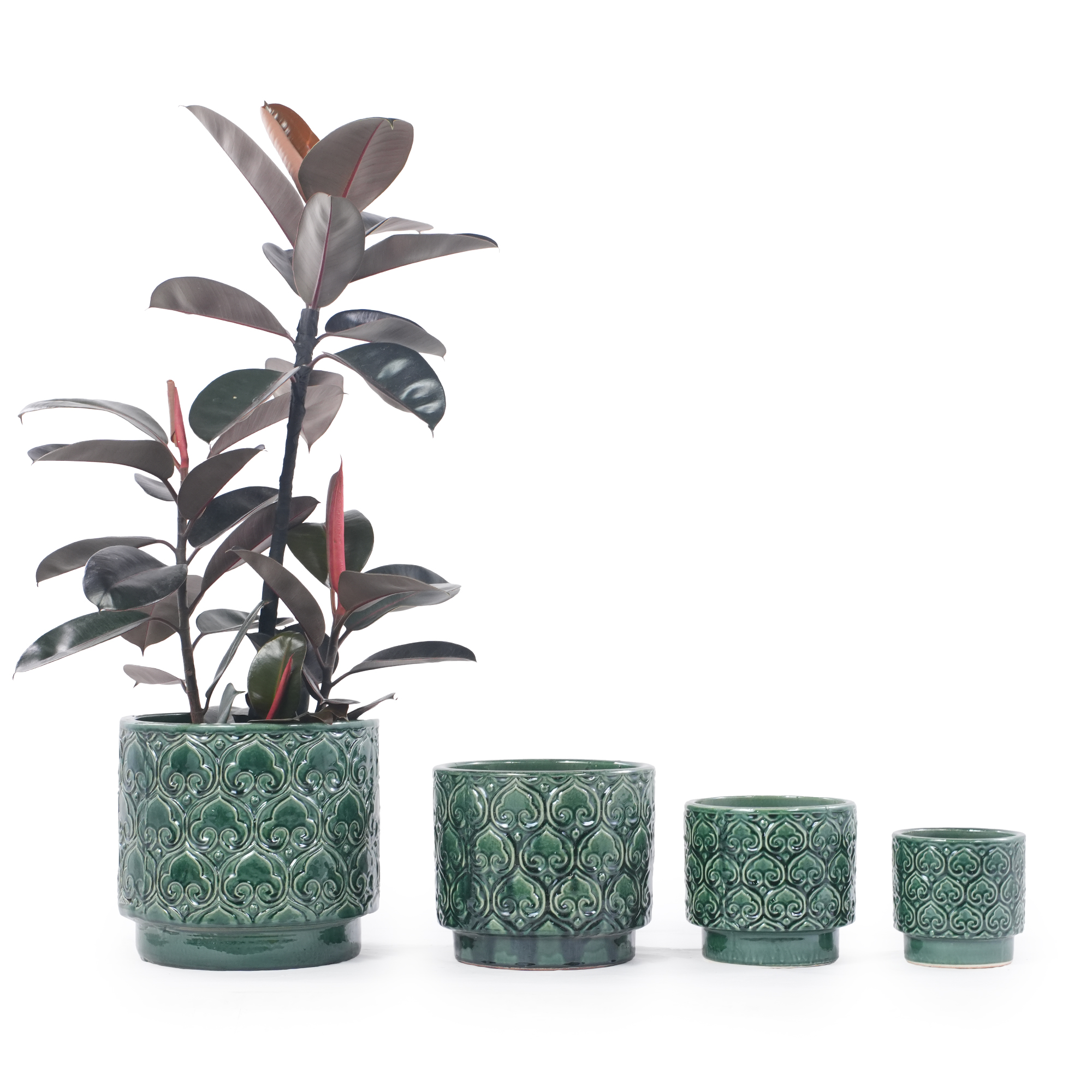 Vue principale du bac à plantes