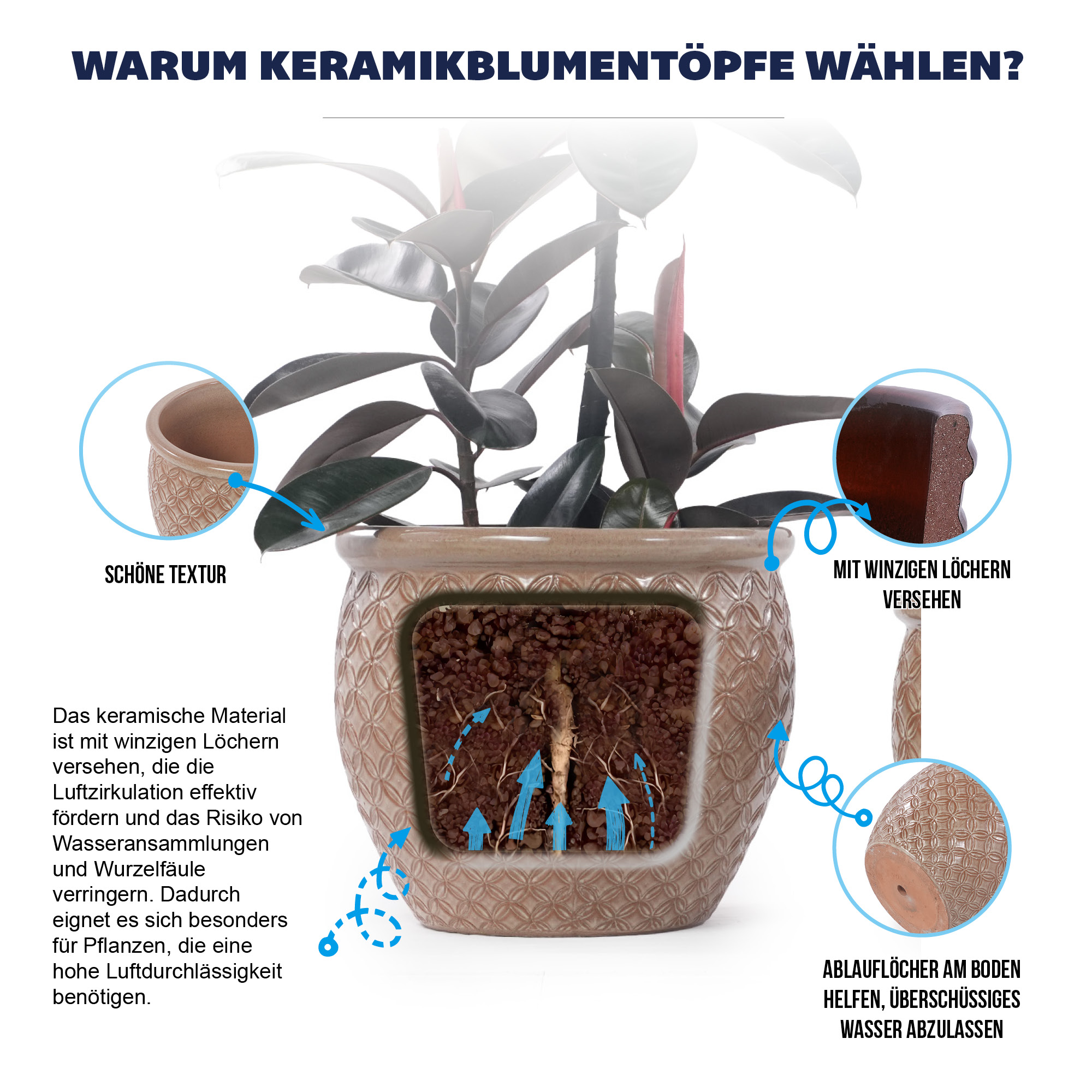 Détail du bac à plantes