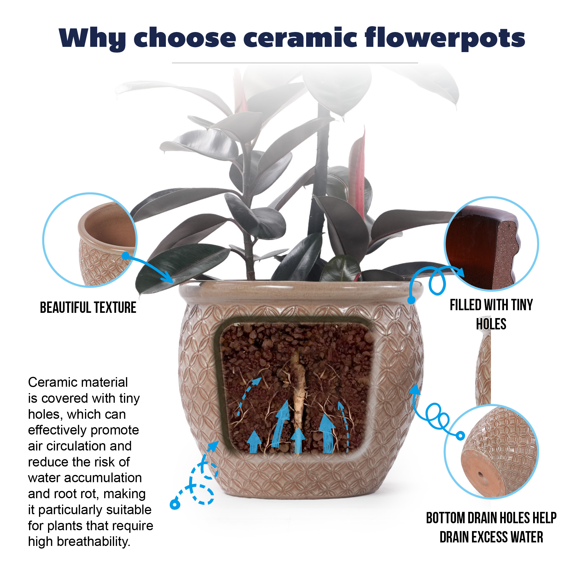 Format compact Ø23 cm pour succulentes, herbes aromatiques, petites plantes vertes