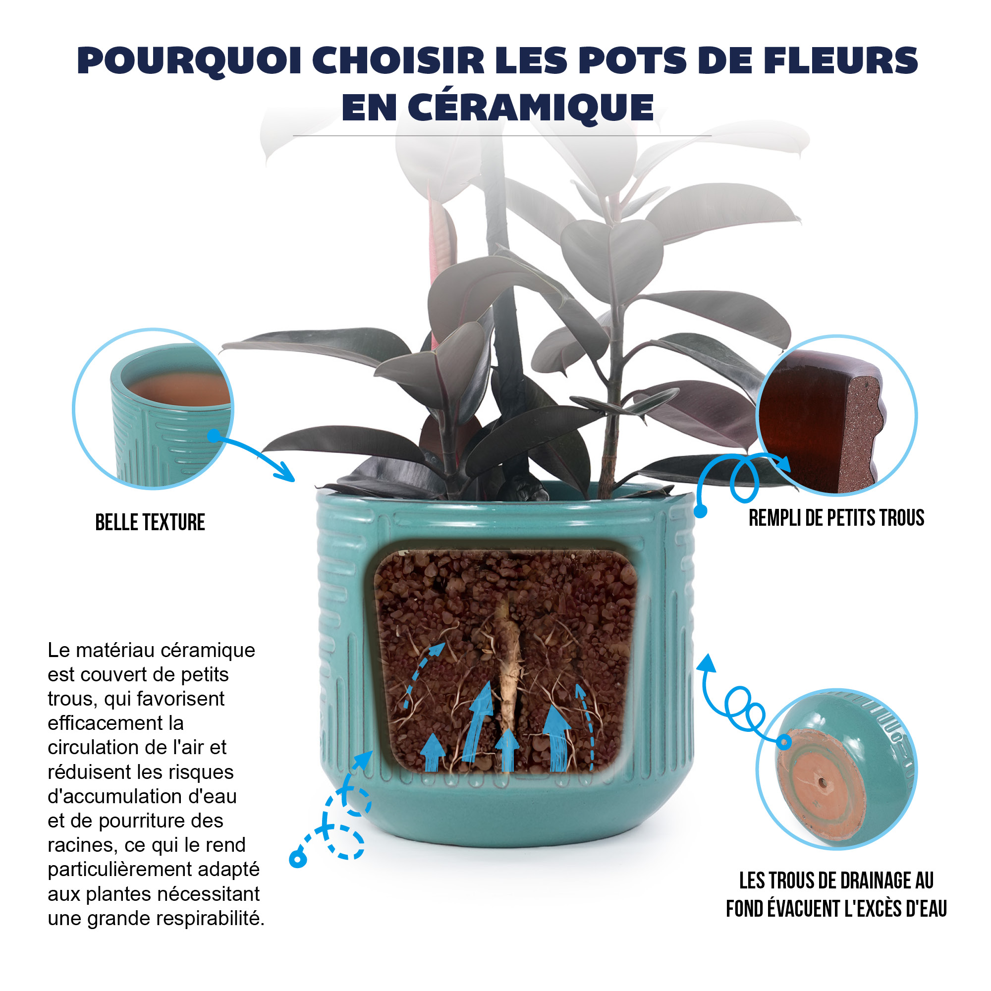 Présentation du bac à plantes