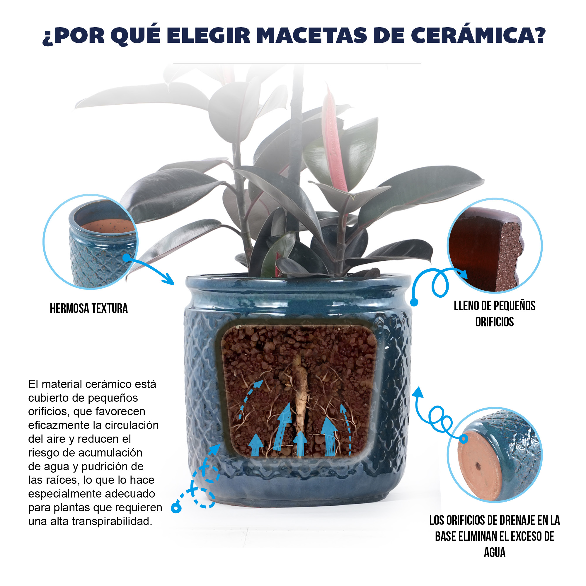 Présentation du bac à plantes