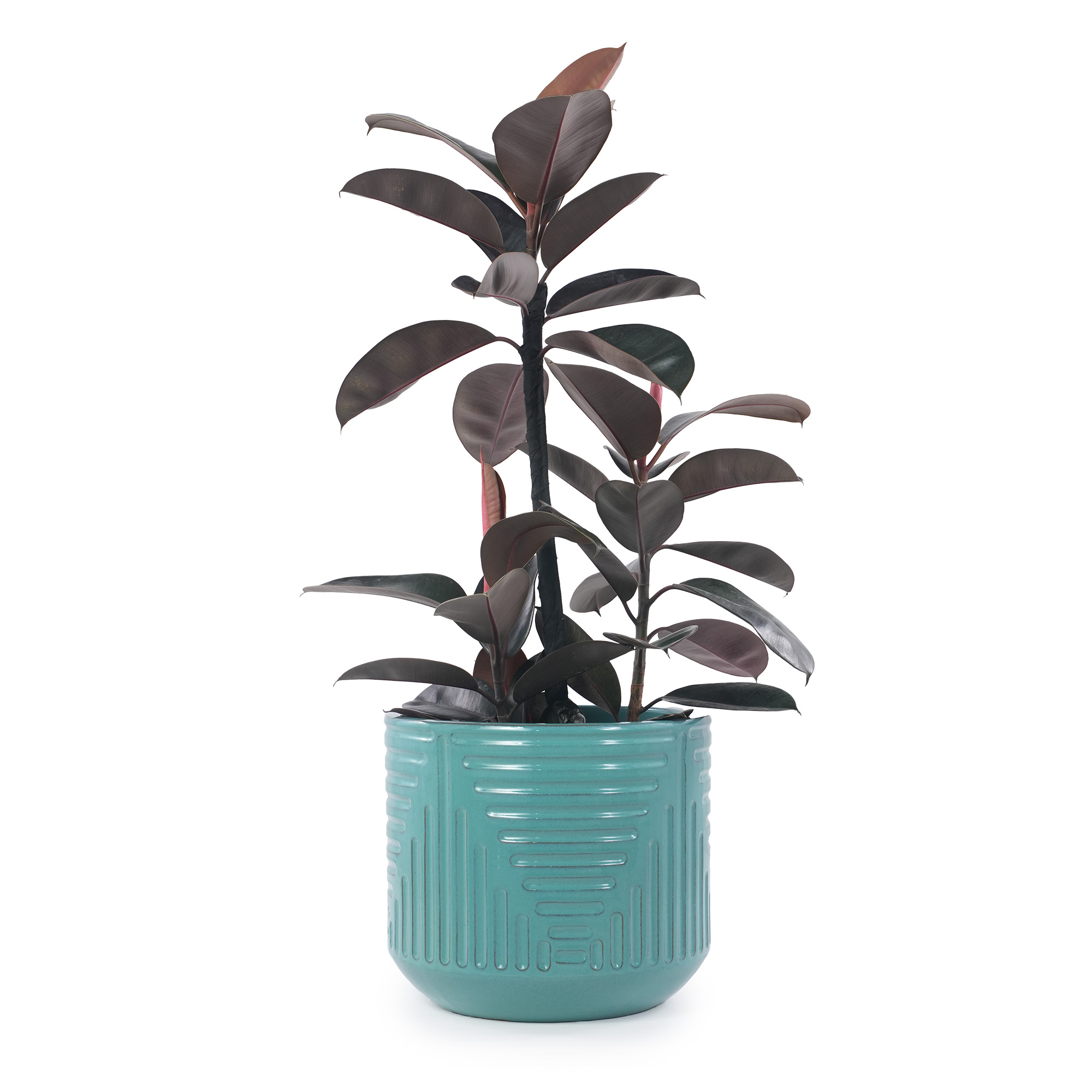 Détail du bac à plantes