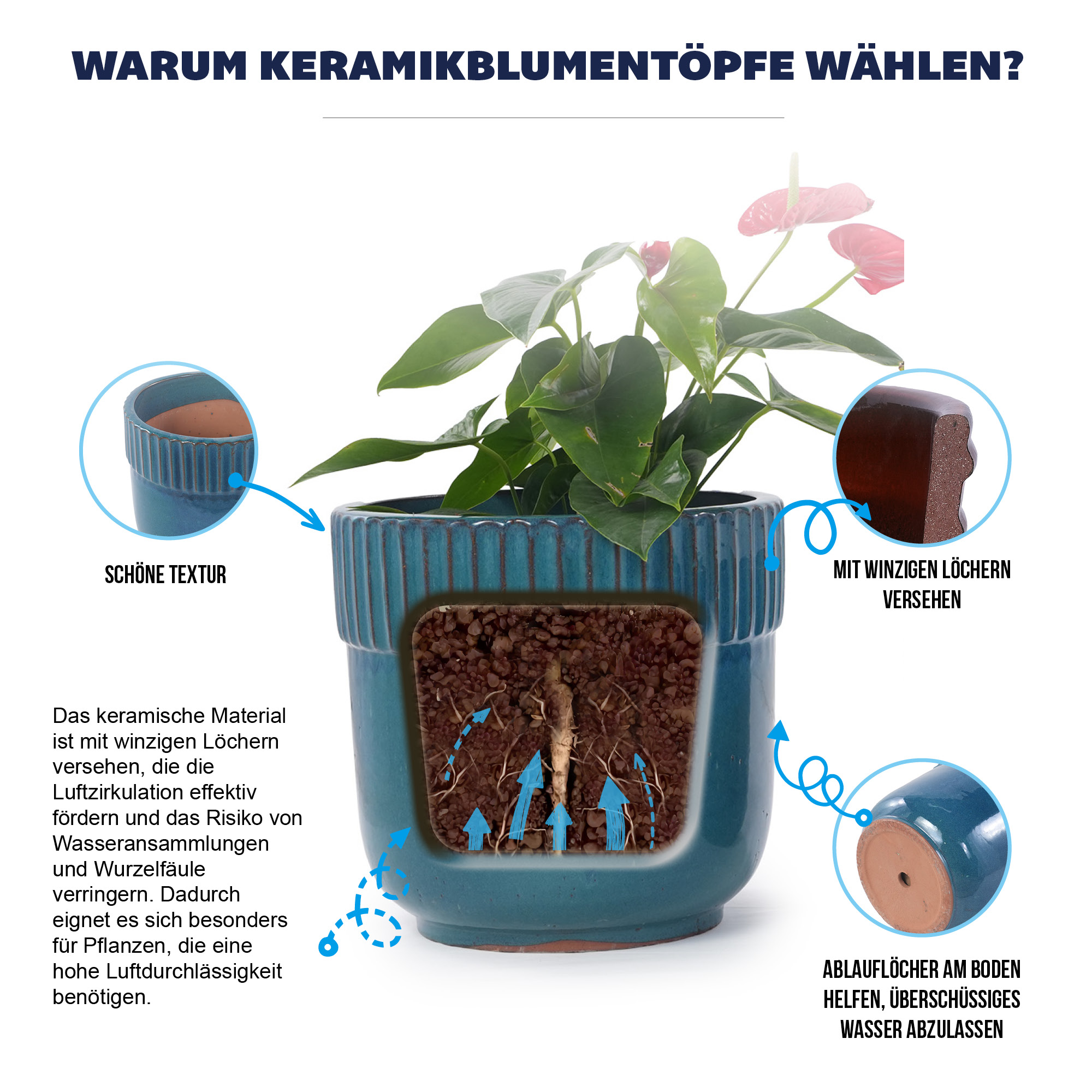 Présentation du bac à plantes