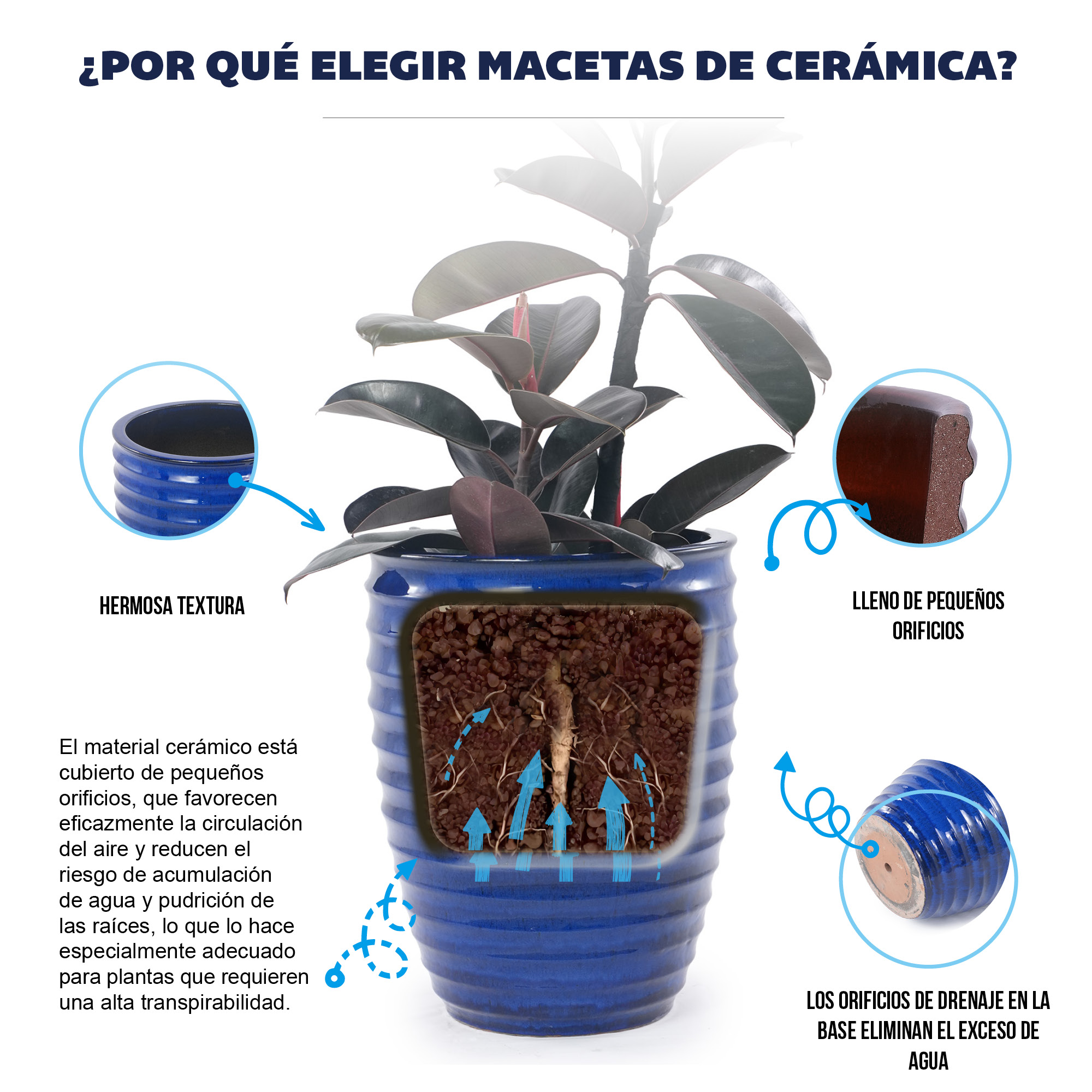 Présentation du bac à plantes