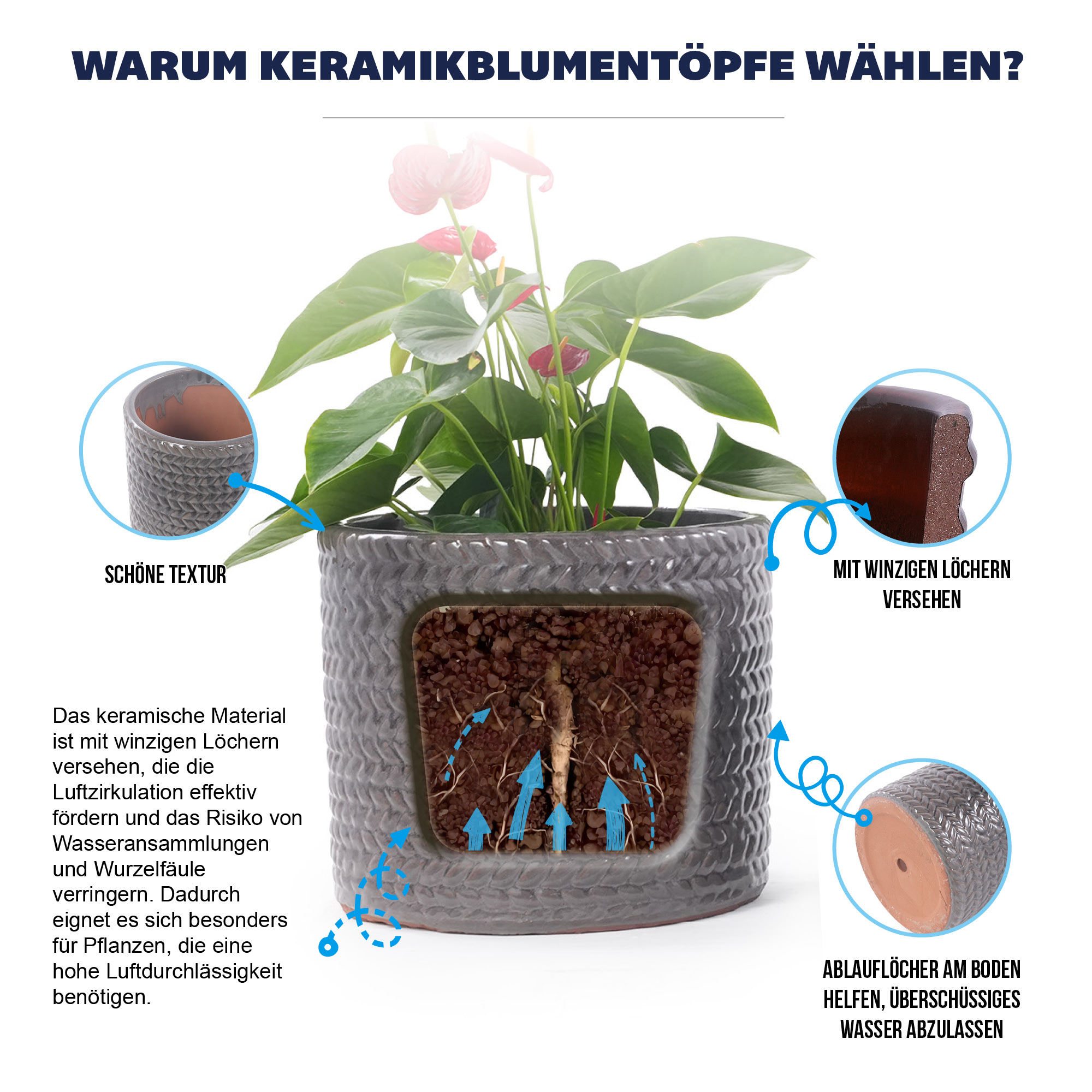 Présentation du bac à plantes