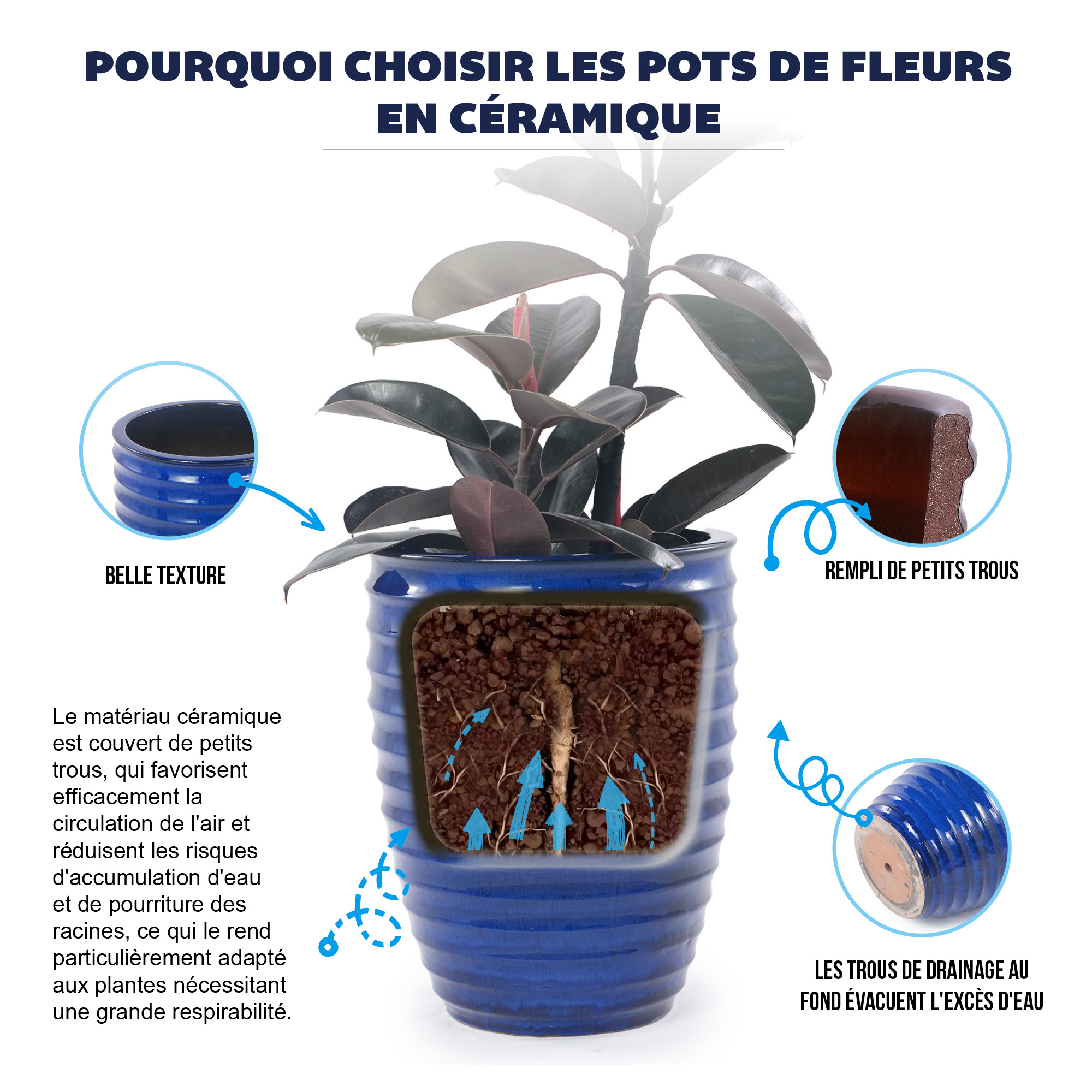 Présentation du bac à plantes