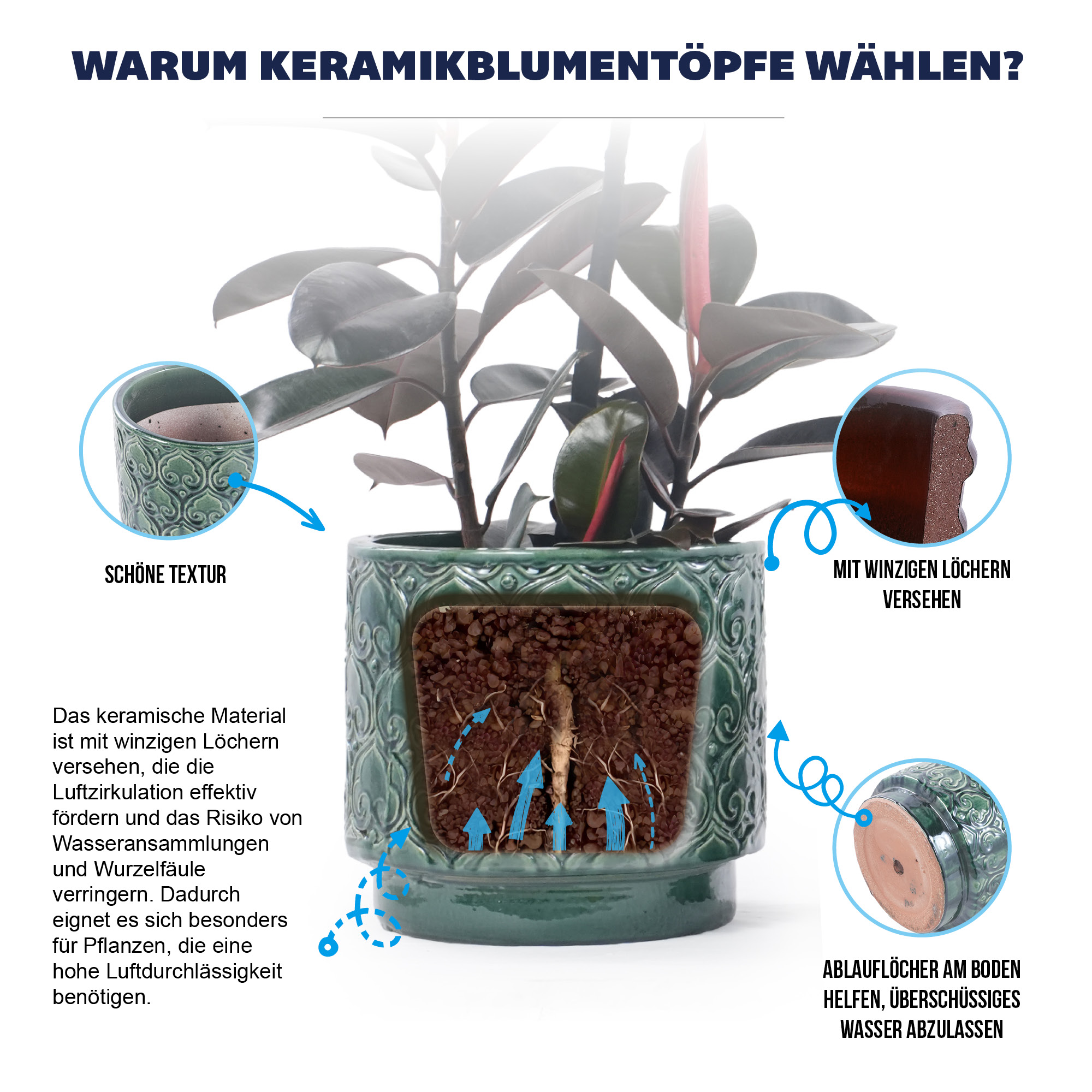 Présentation du bac à plantes