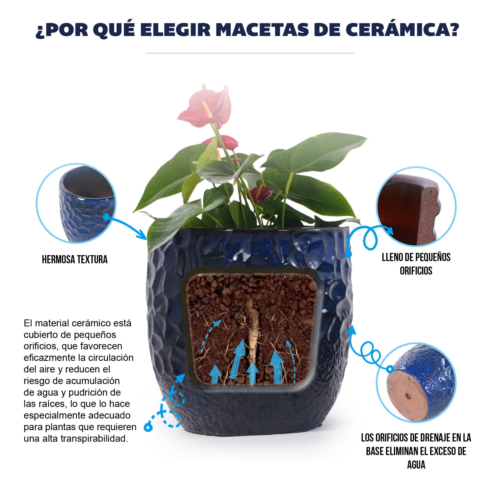 Présentation du bac à plantes