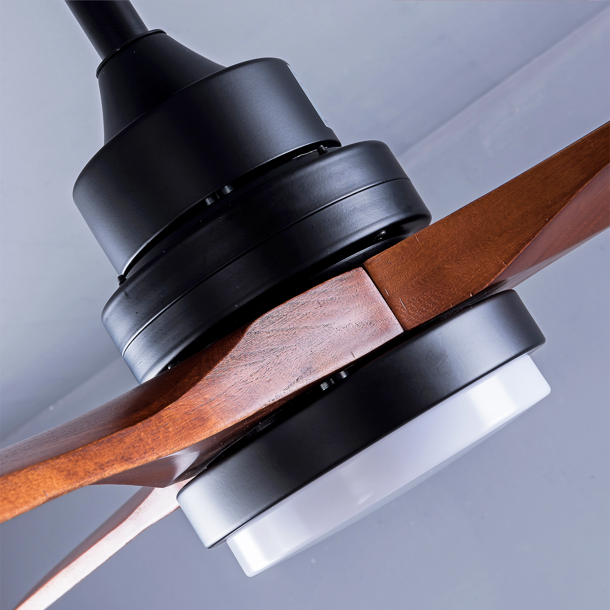 Détail du ventilateur