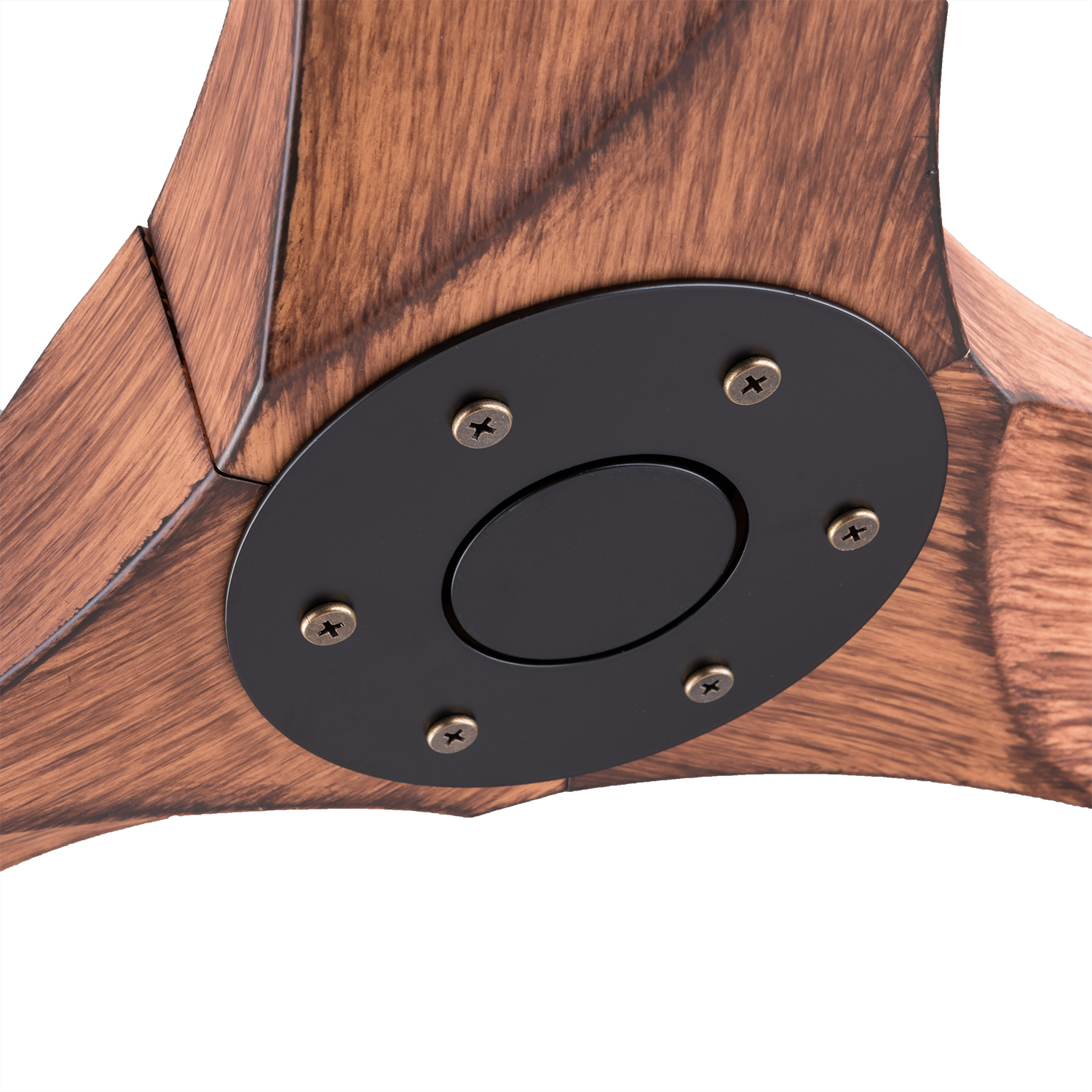 Détail du ventilateur