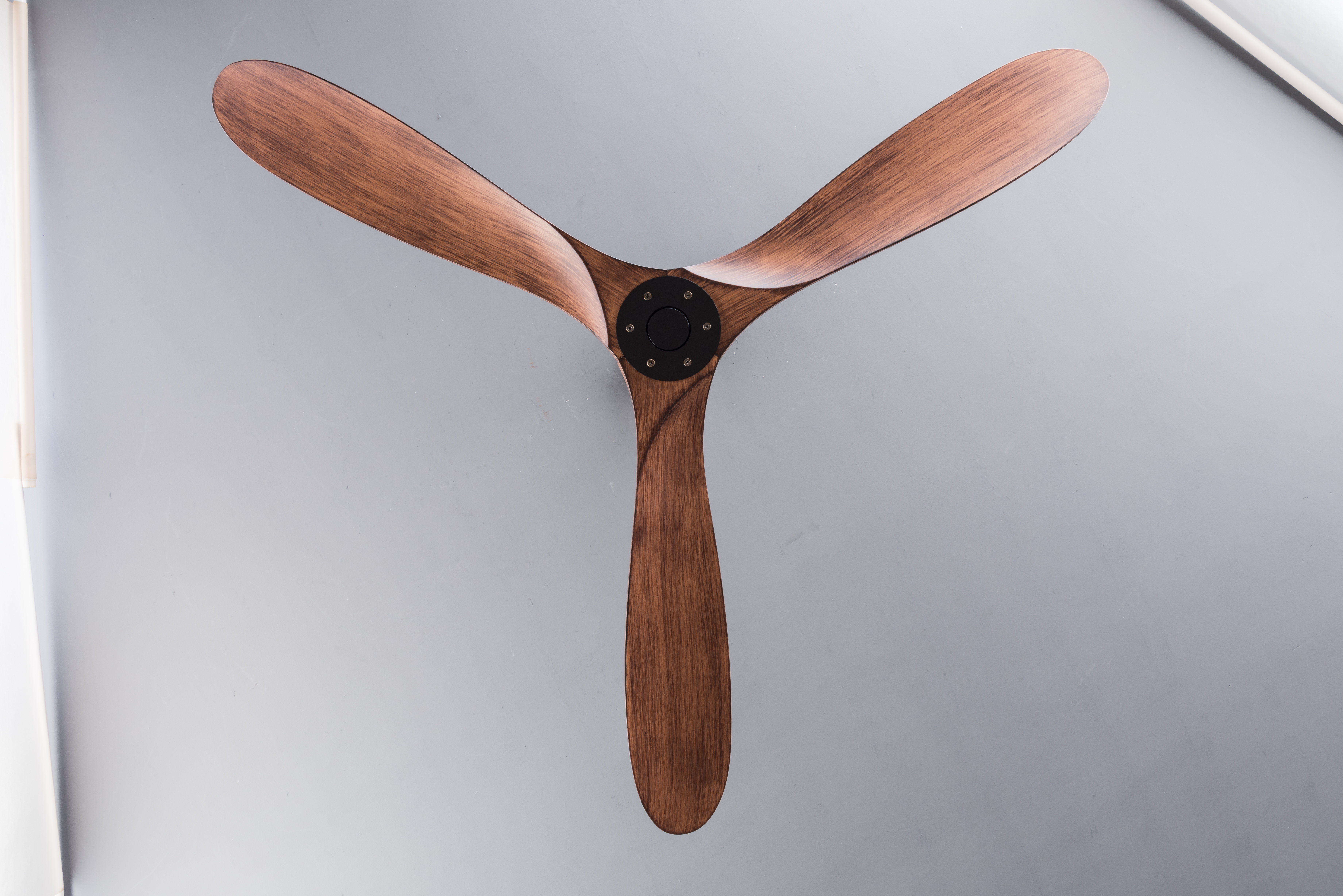 Détail du ventilateur