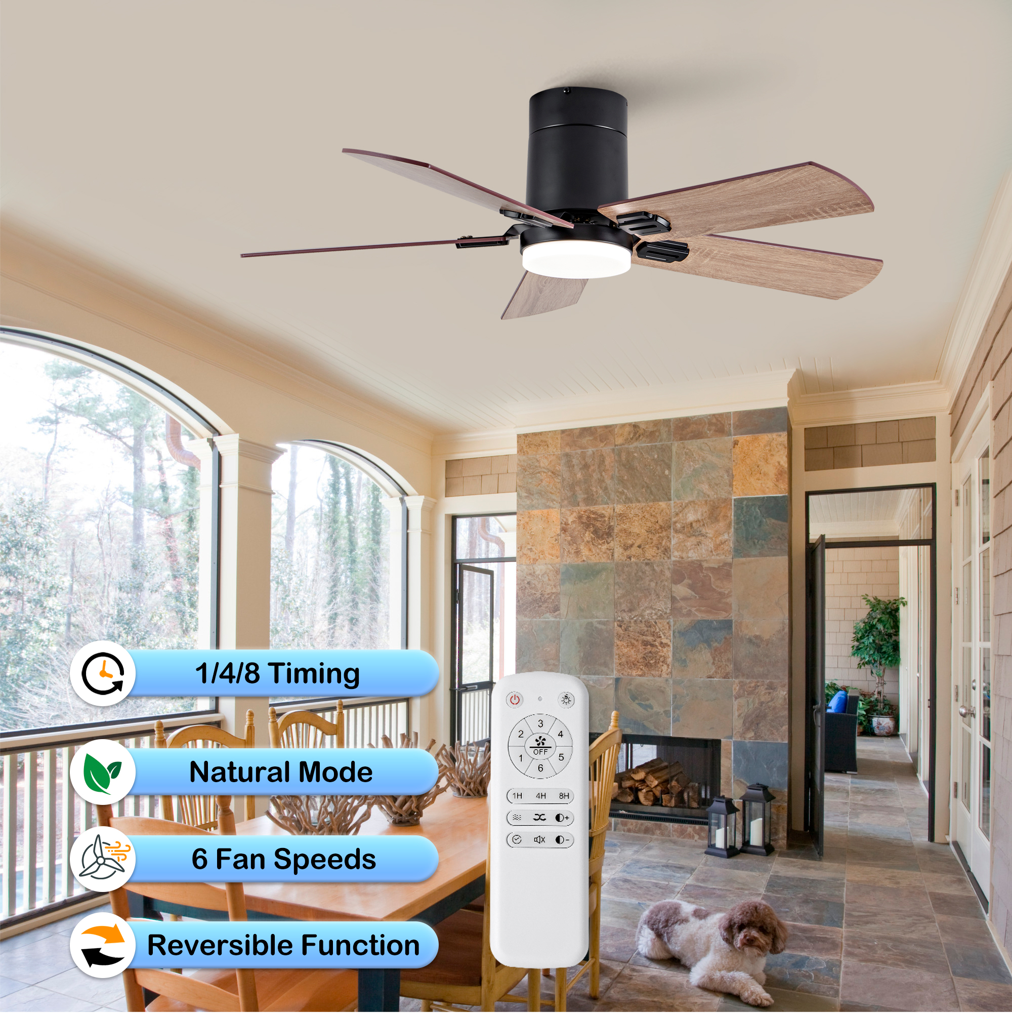Dimensions du ventilateur
