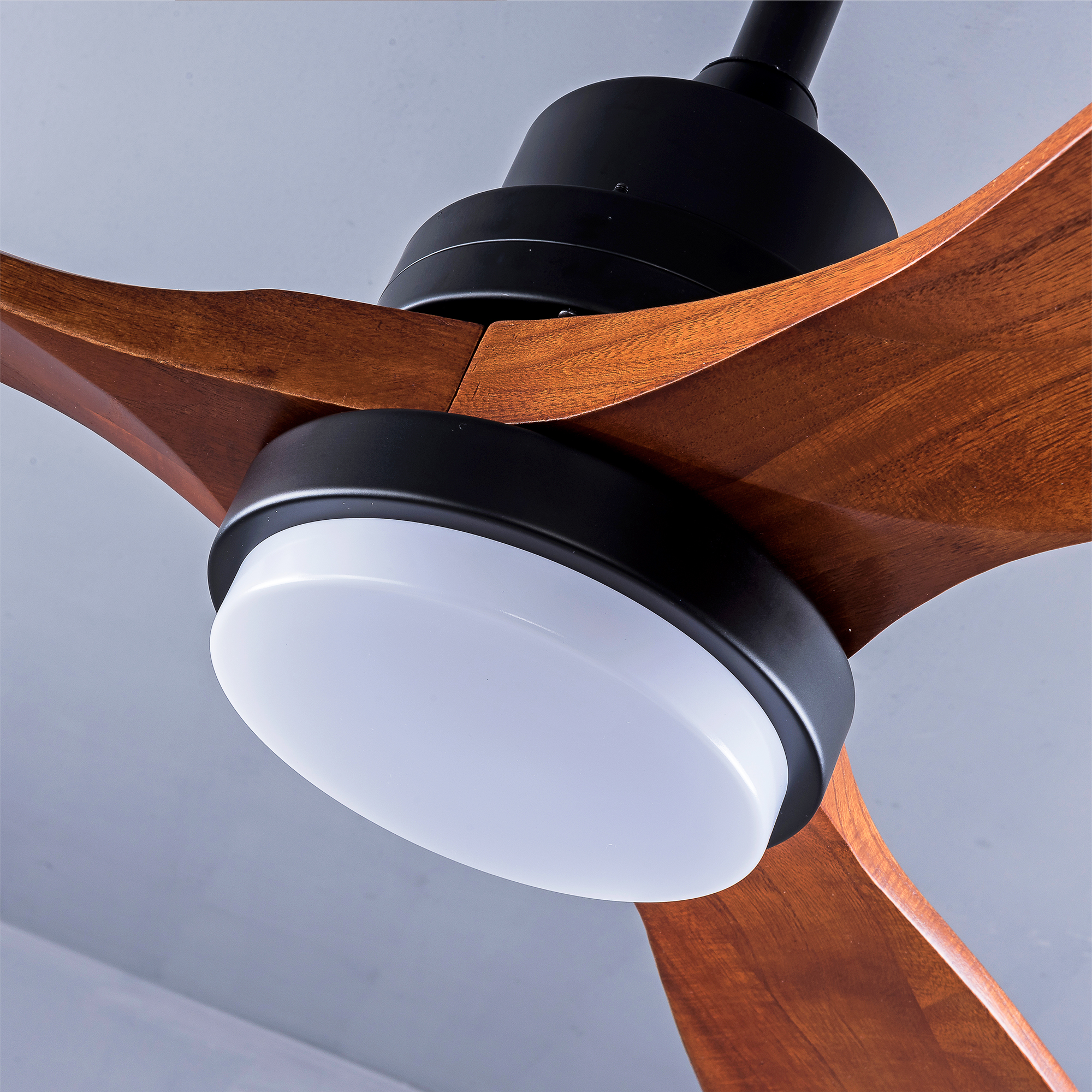Détail du ventilateur