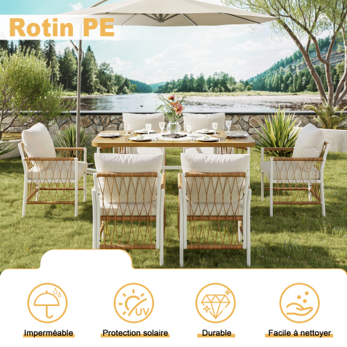 Ensemble bicolore rotin et fer