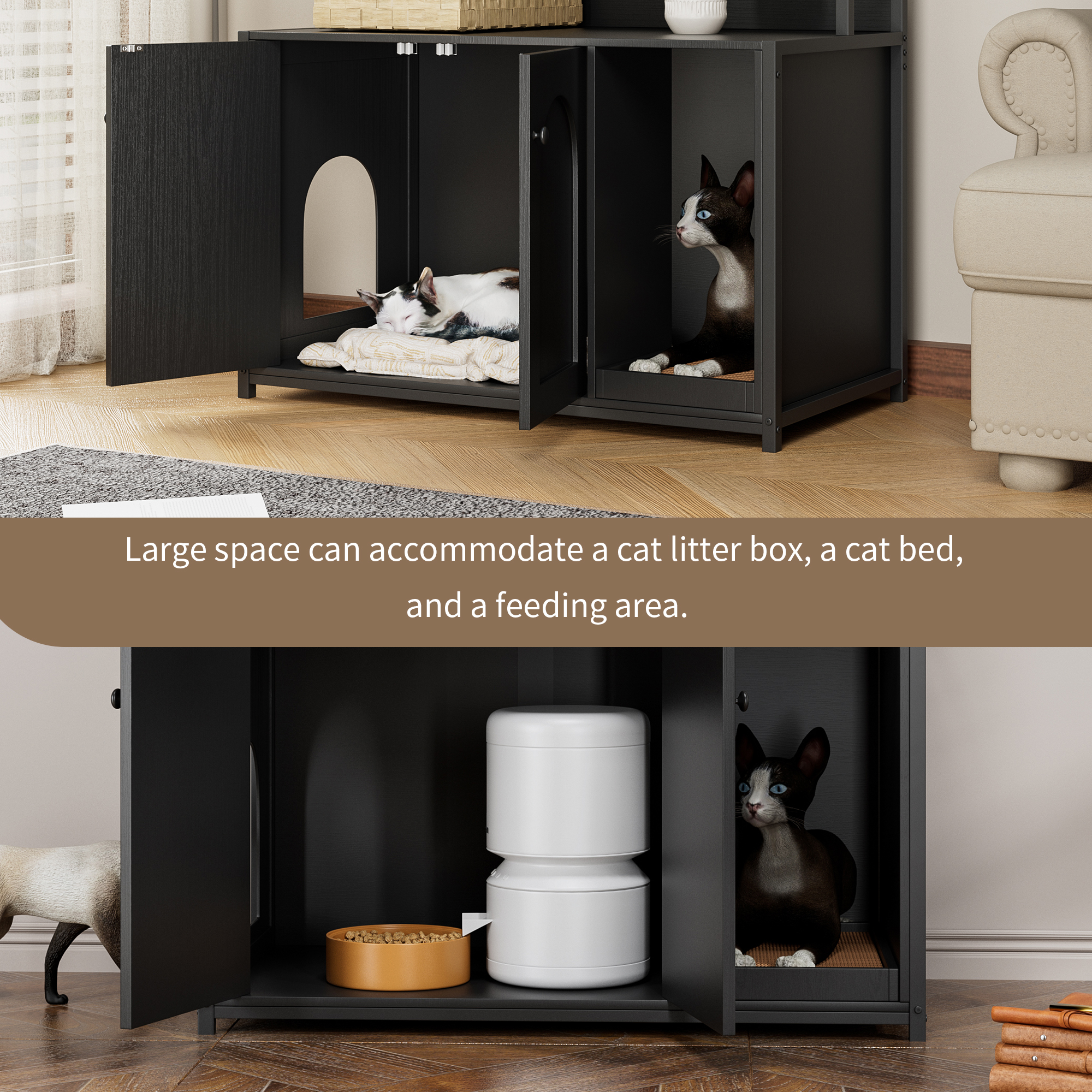 Chat dans son espace privé du meuble