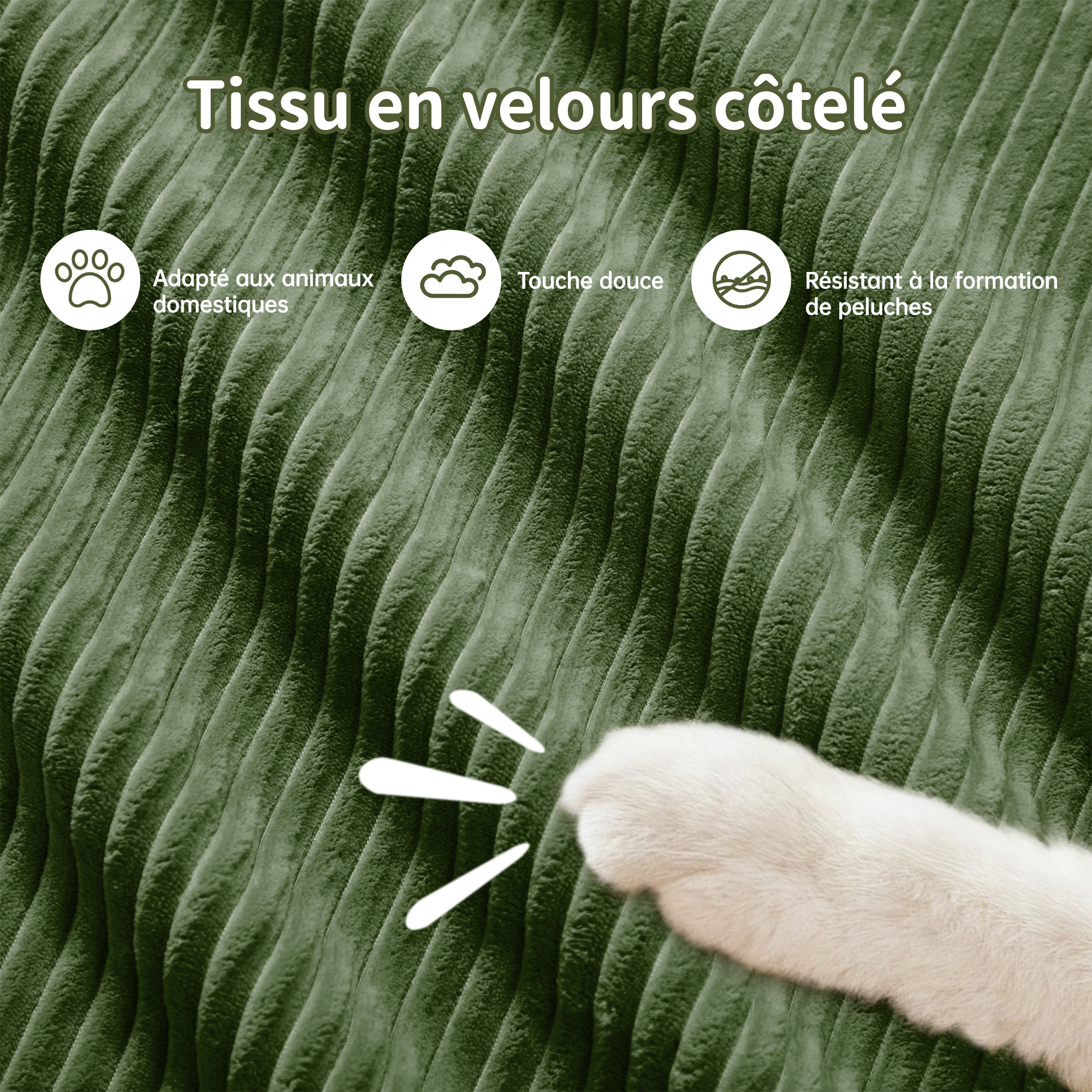 Détail du canapé