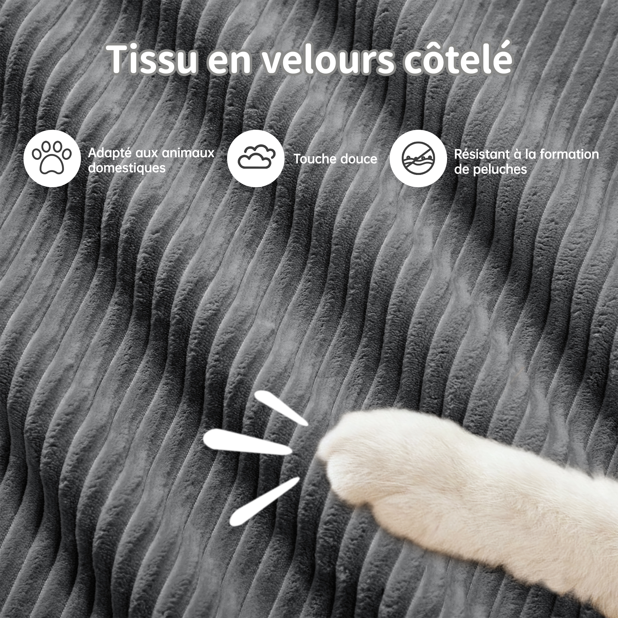 Détail du canapé