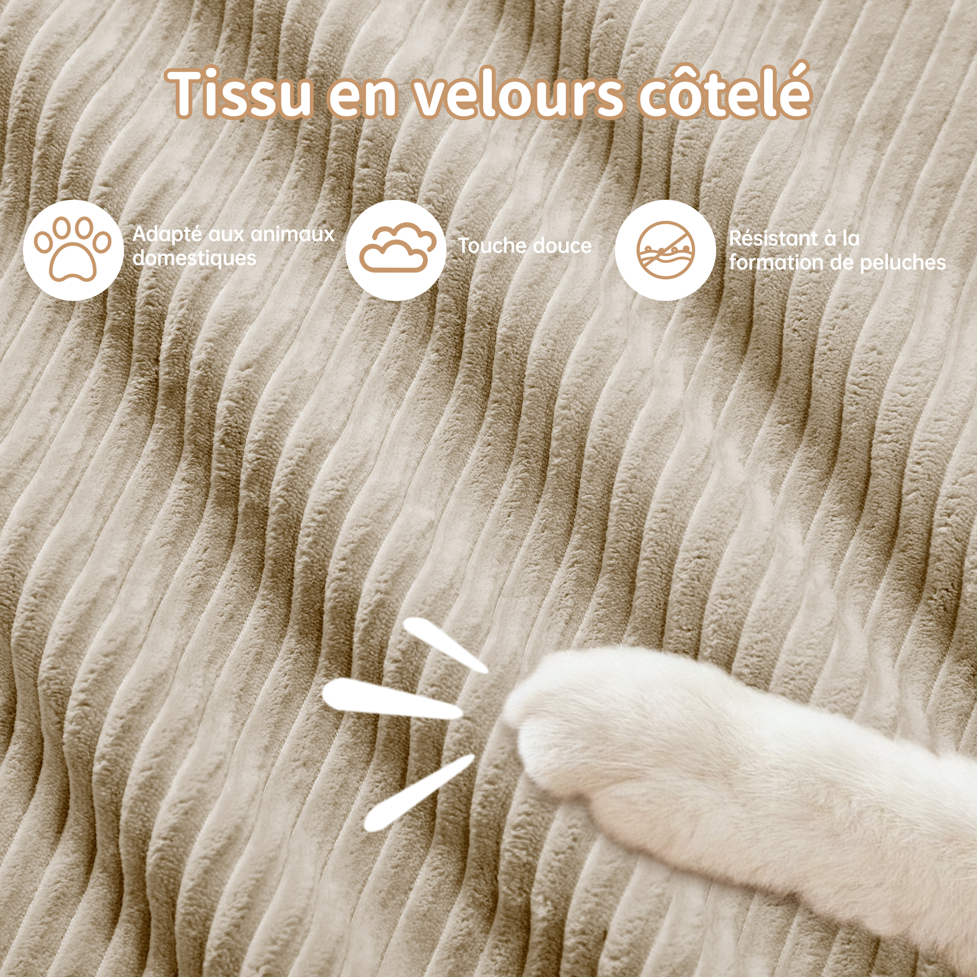 Détail du canapé
