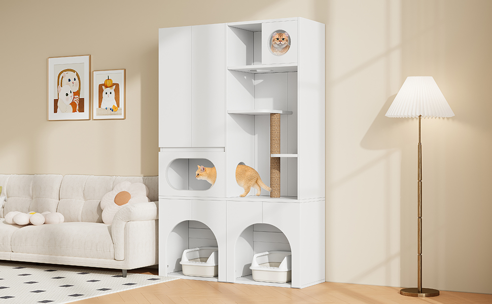 Vue arrière structure stable