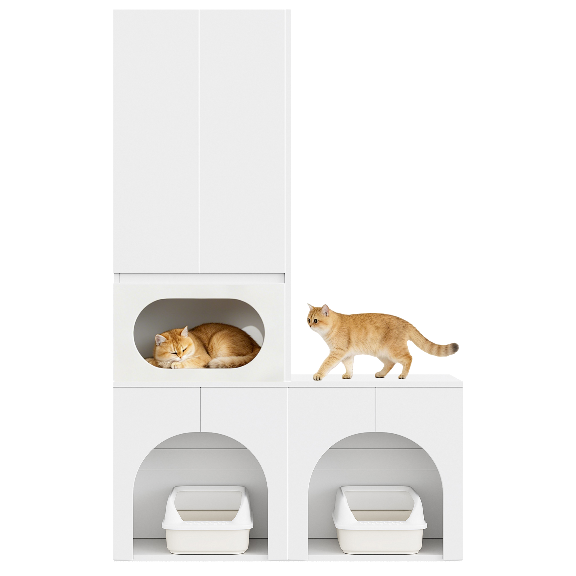 Chat passant par l’entrée tête de chat
