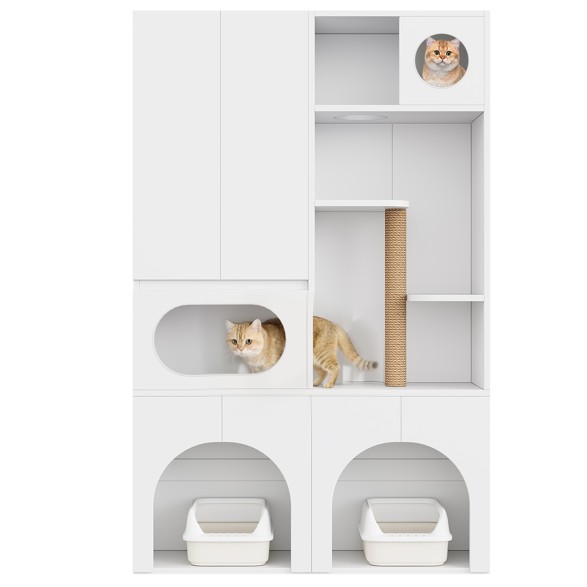 Planche supérieure décorée