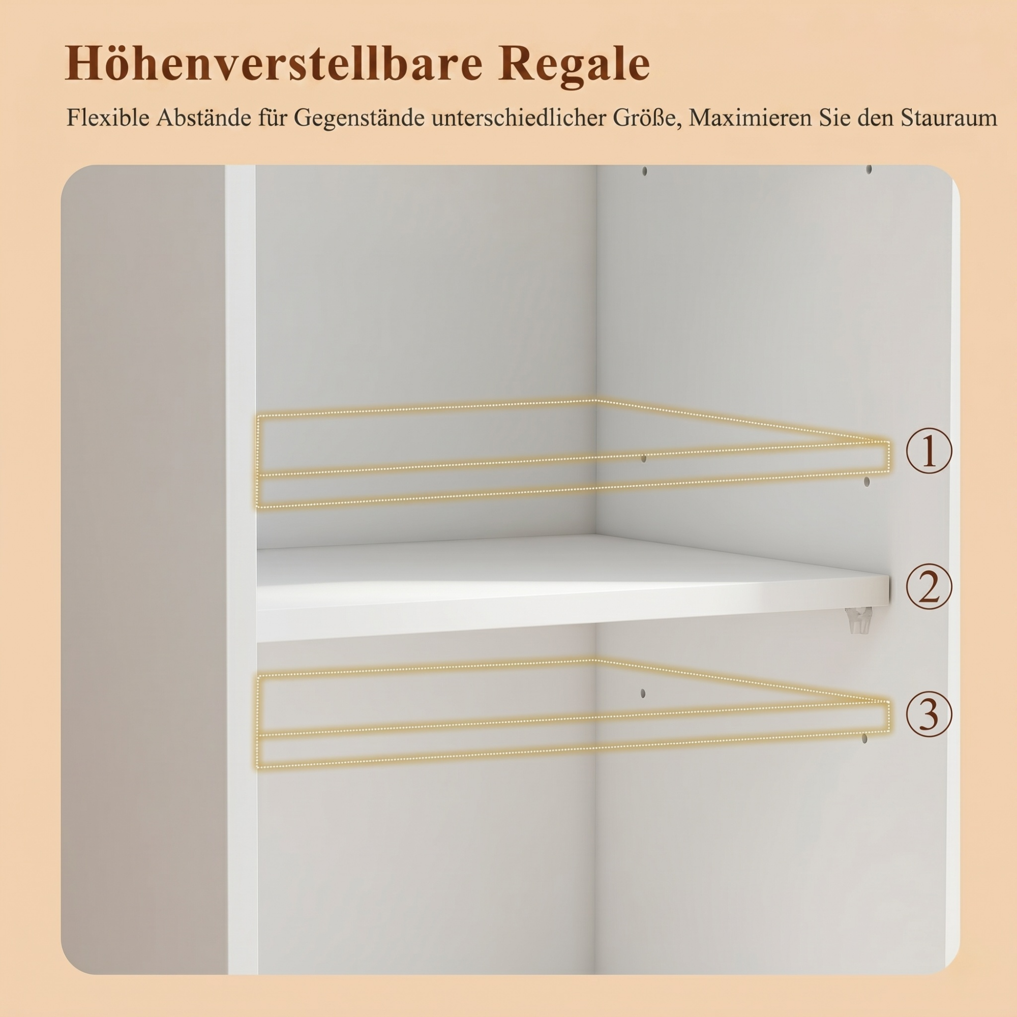 Présentation du vitrine