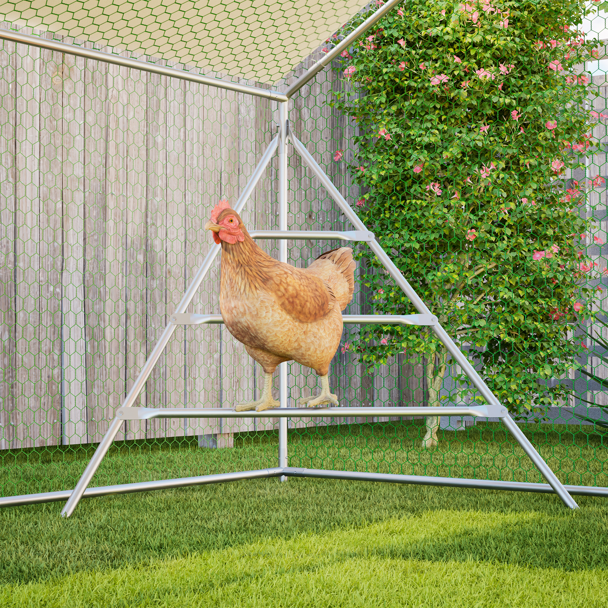 Présentation du enclos extérieur