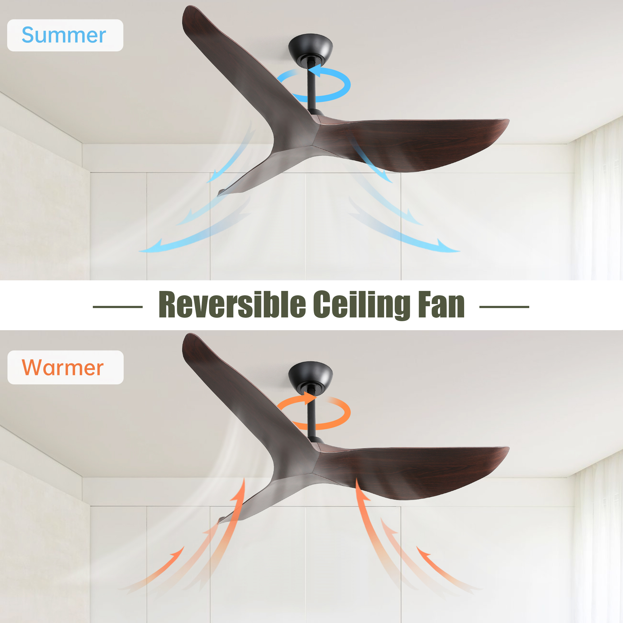 Détail du ventilateur