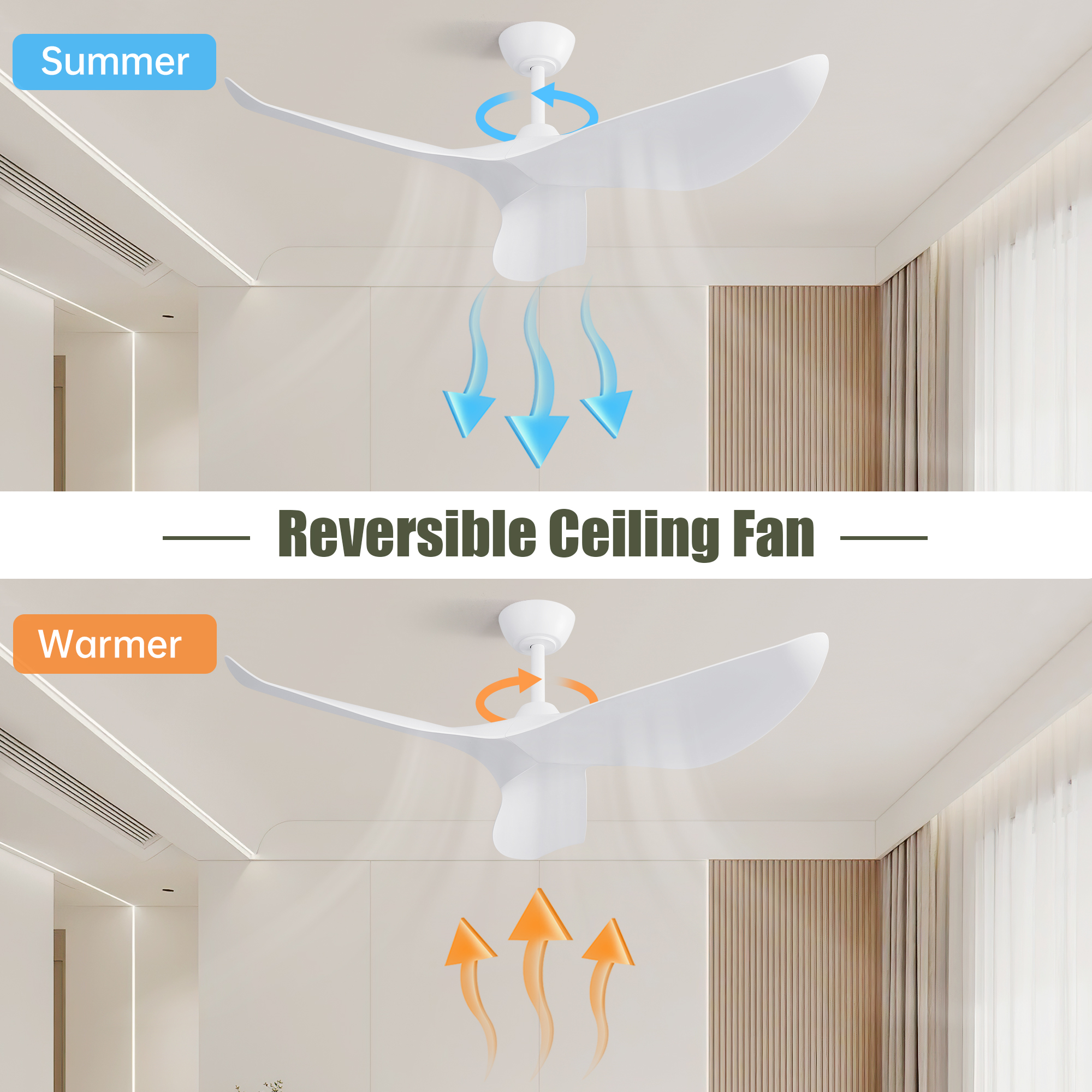 Détail du ventilateur