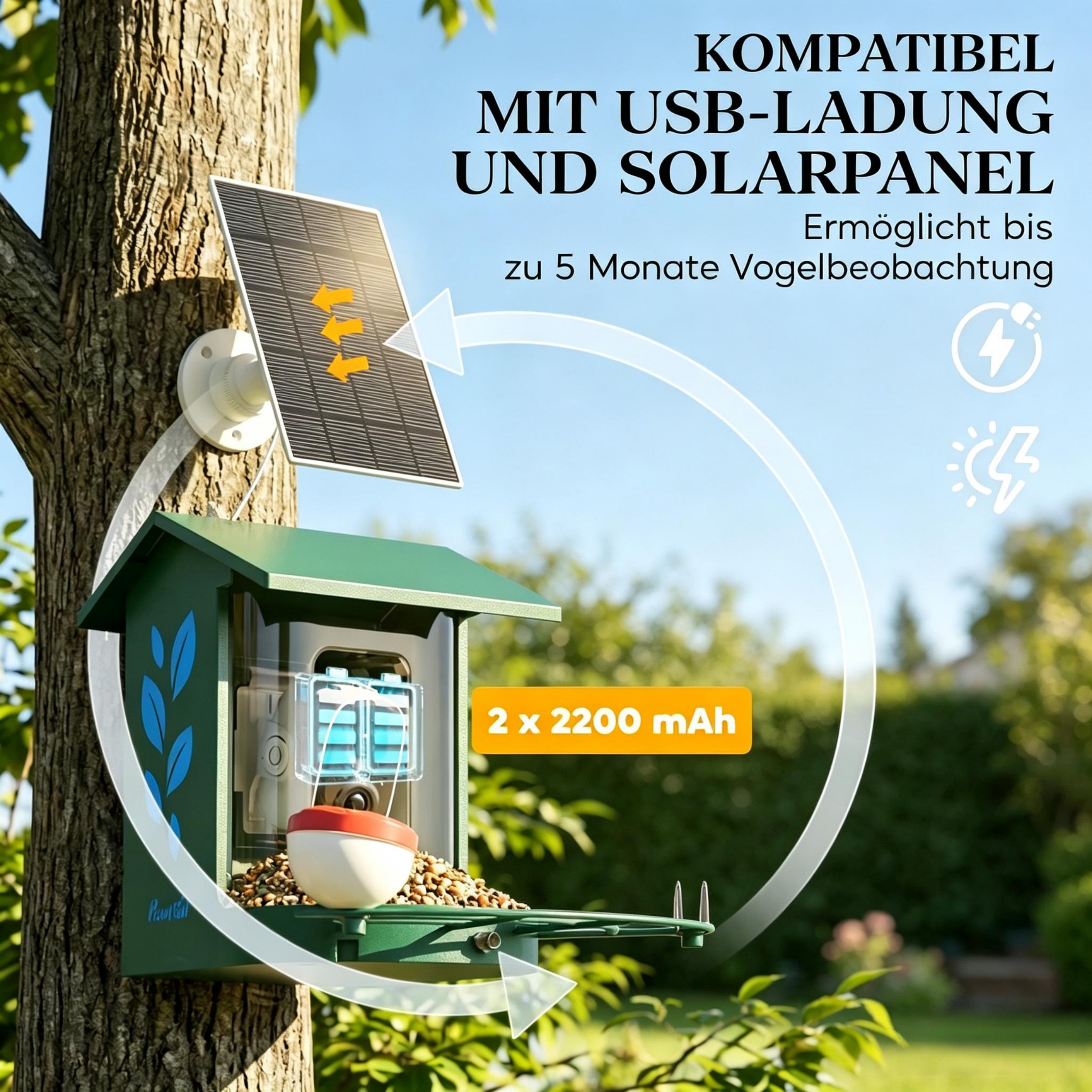 Mangeoire à oiseaux solaire avec caméra 