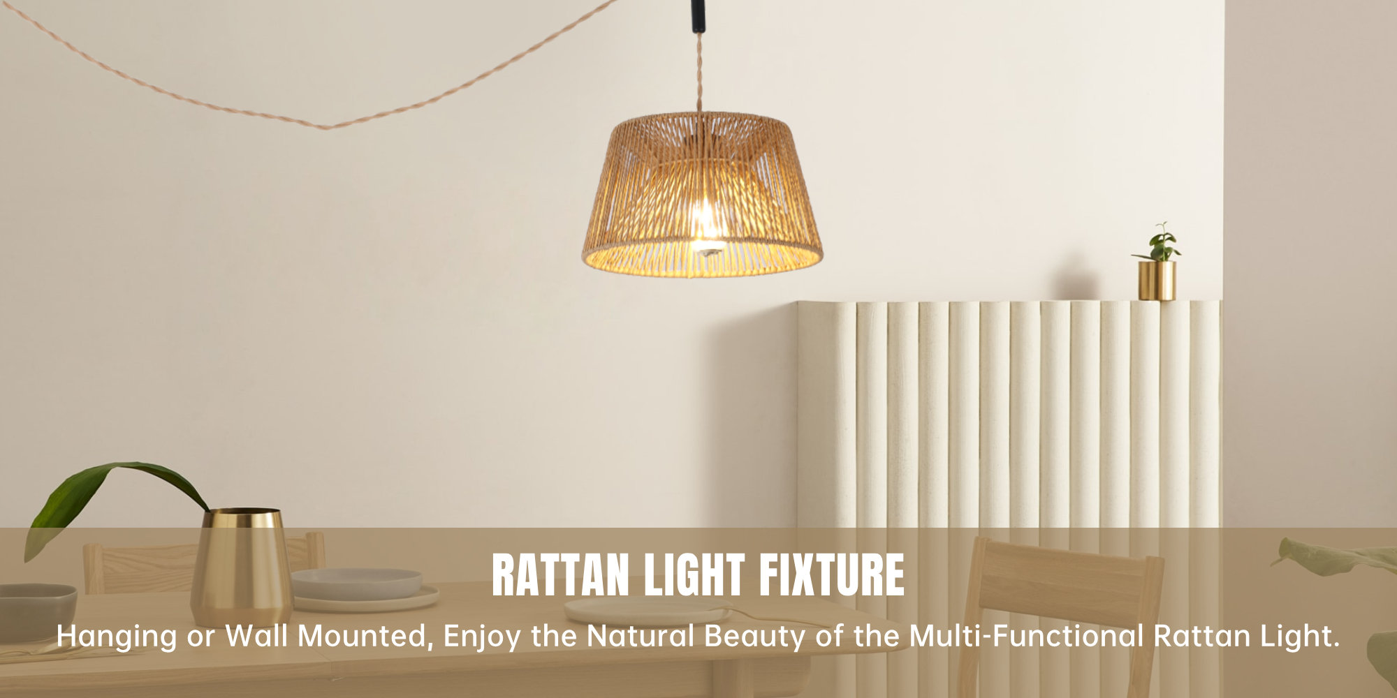 Versatile Wall and Pendant Light