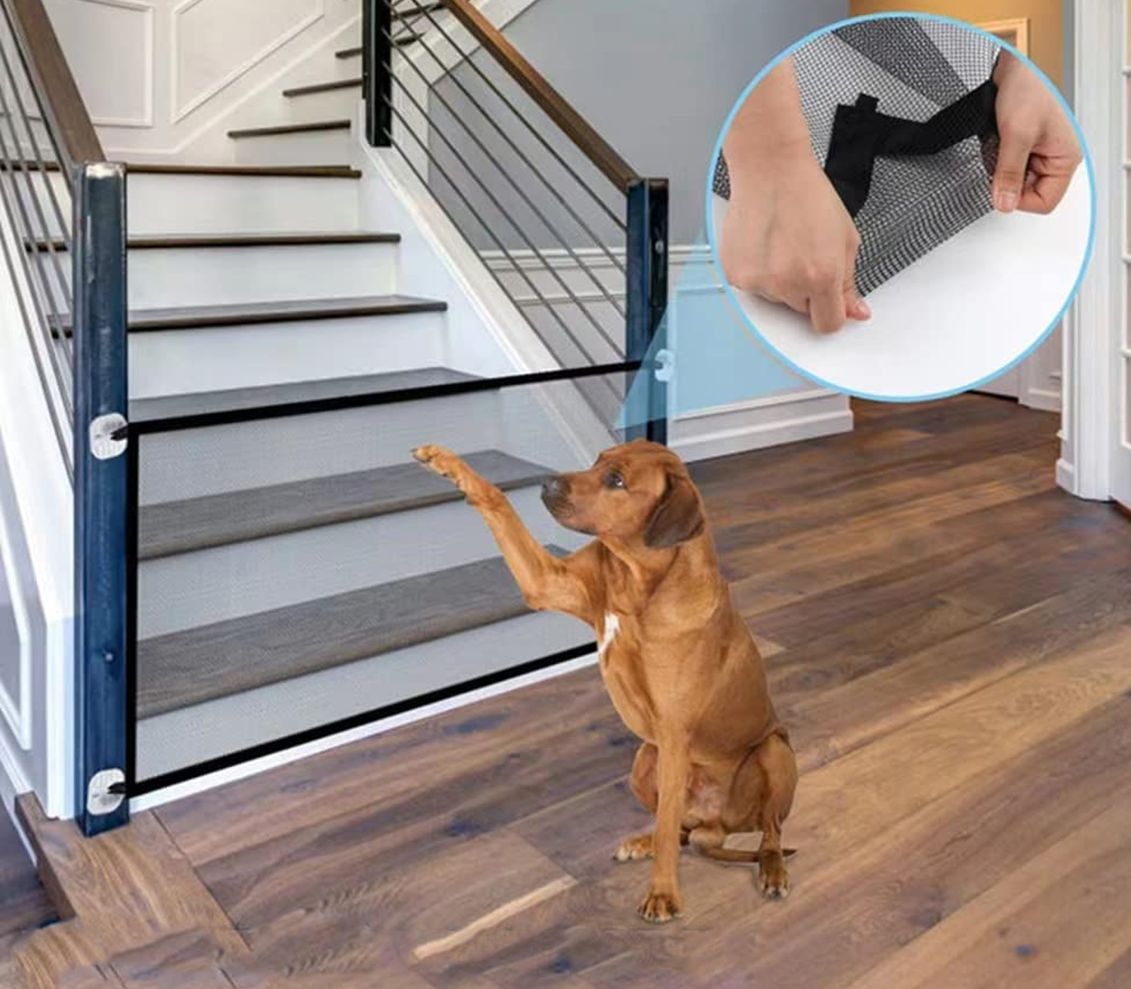 class=img-responsive