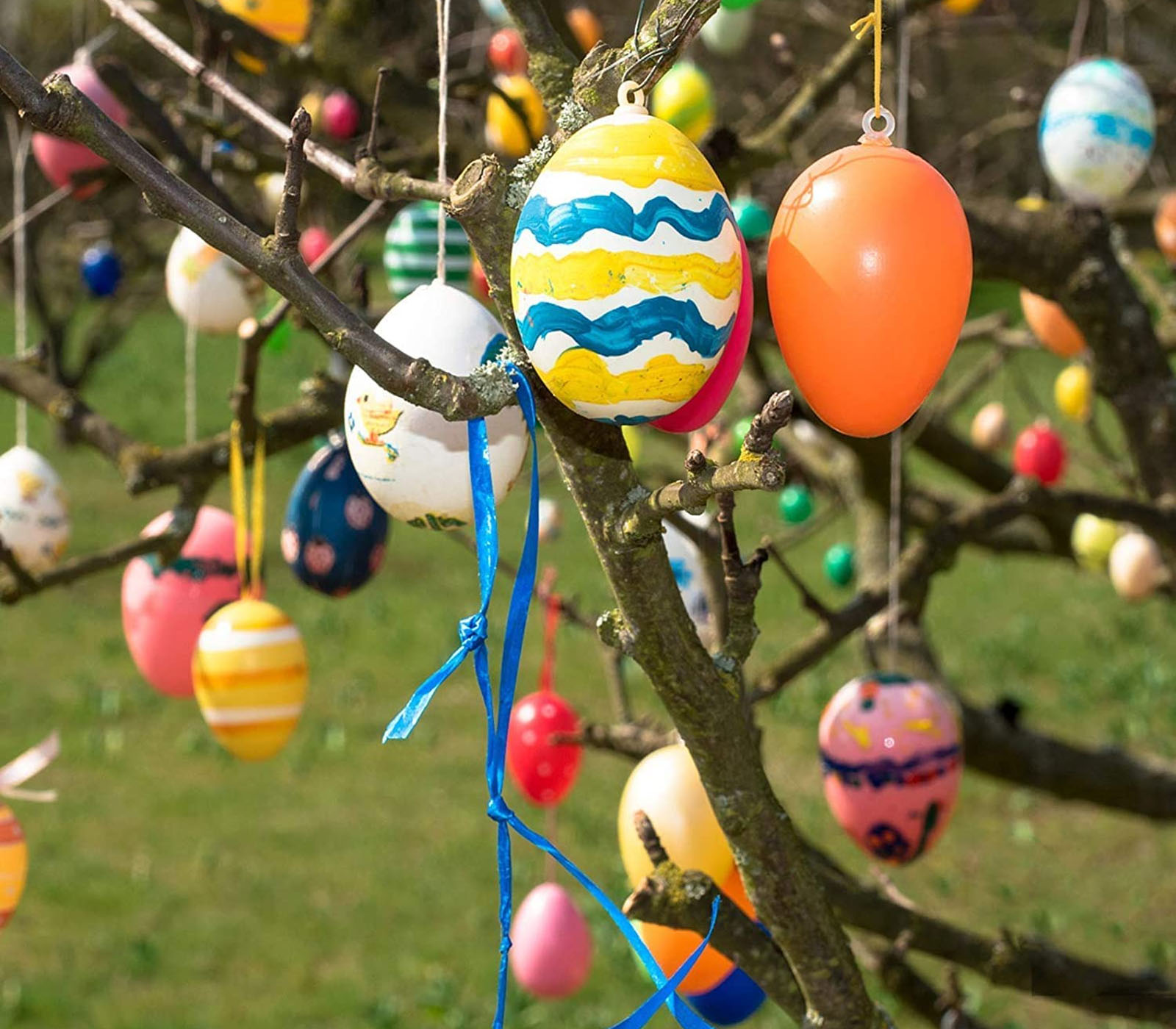 class=img-responsive