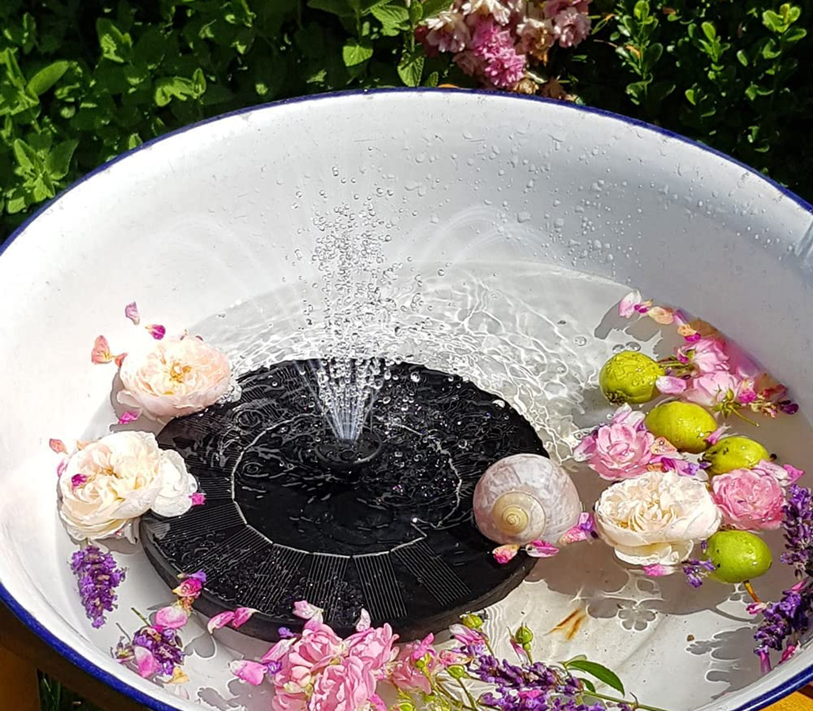 class=img-responsive