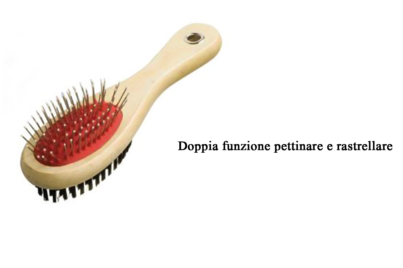 class=img-responsive