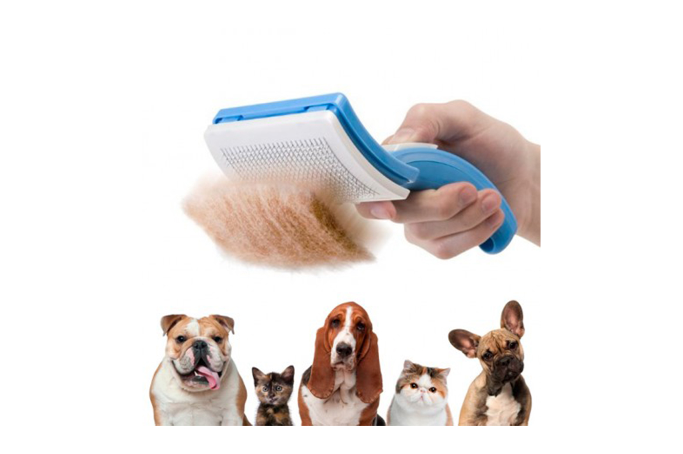 class=img-responsive