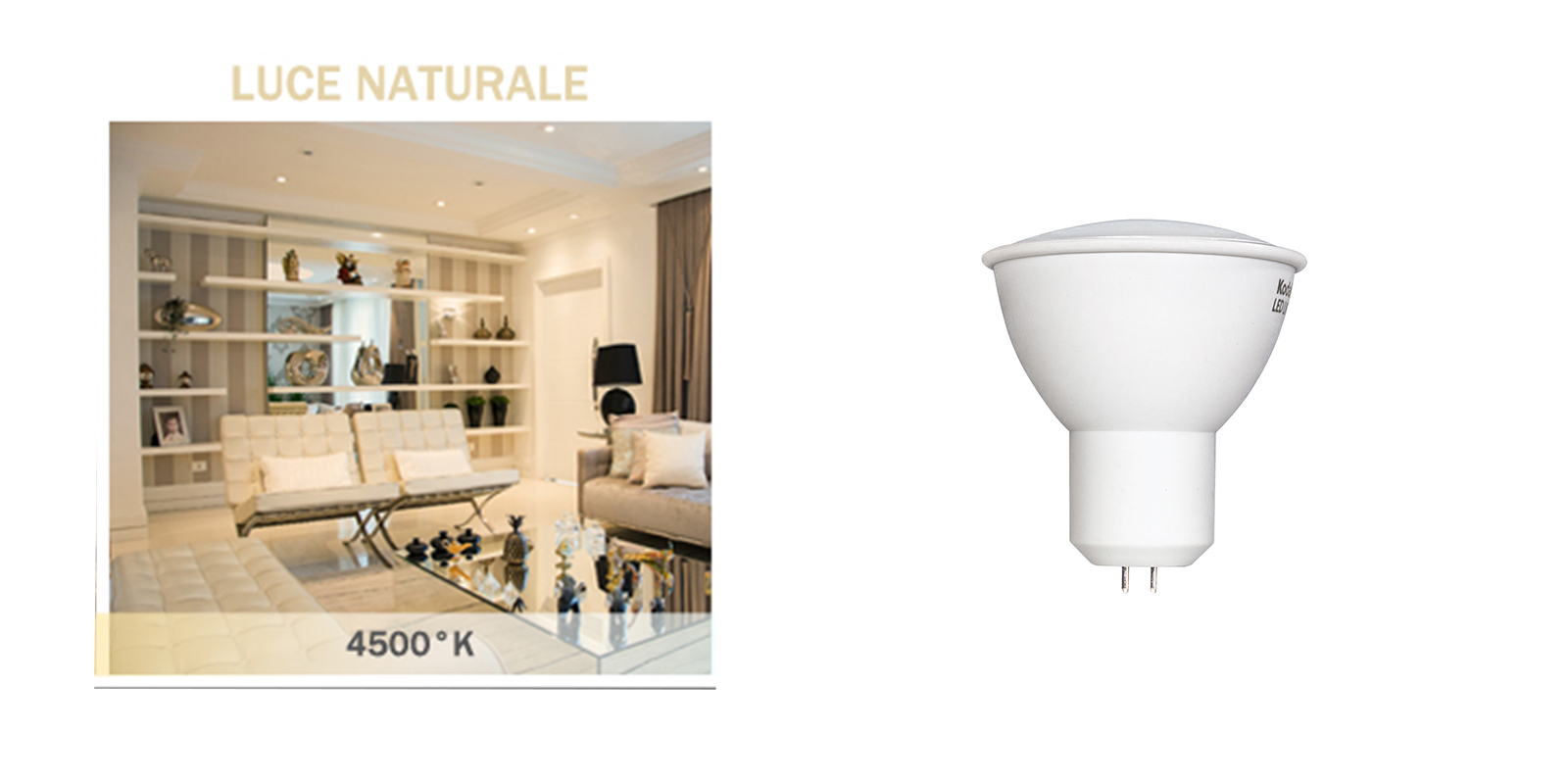 class=img-responsive