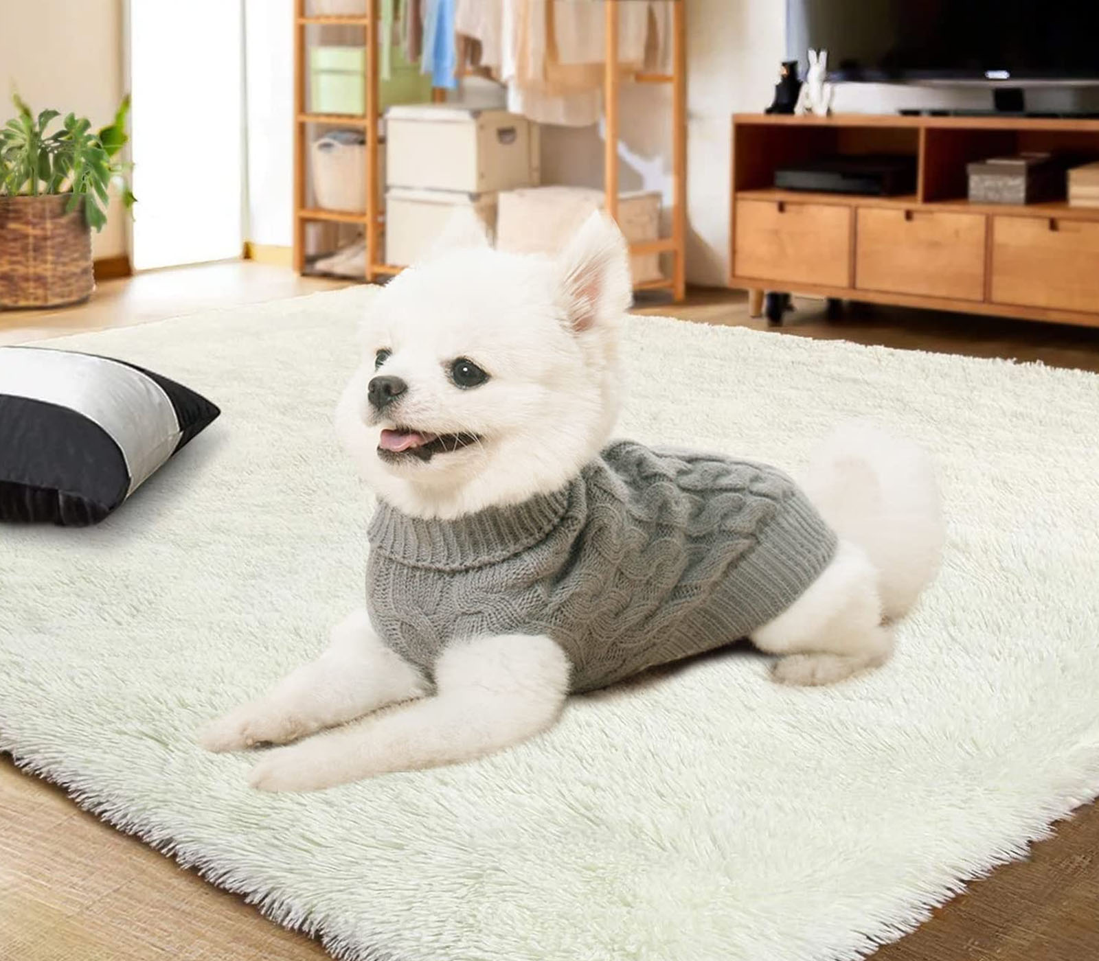 class=img-responsive