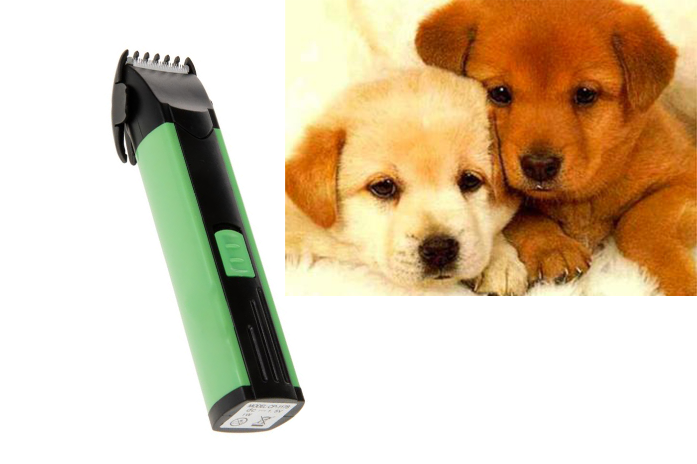 class=img-responsive