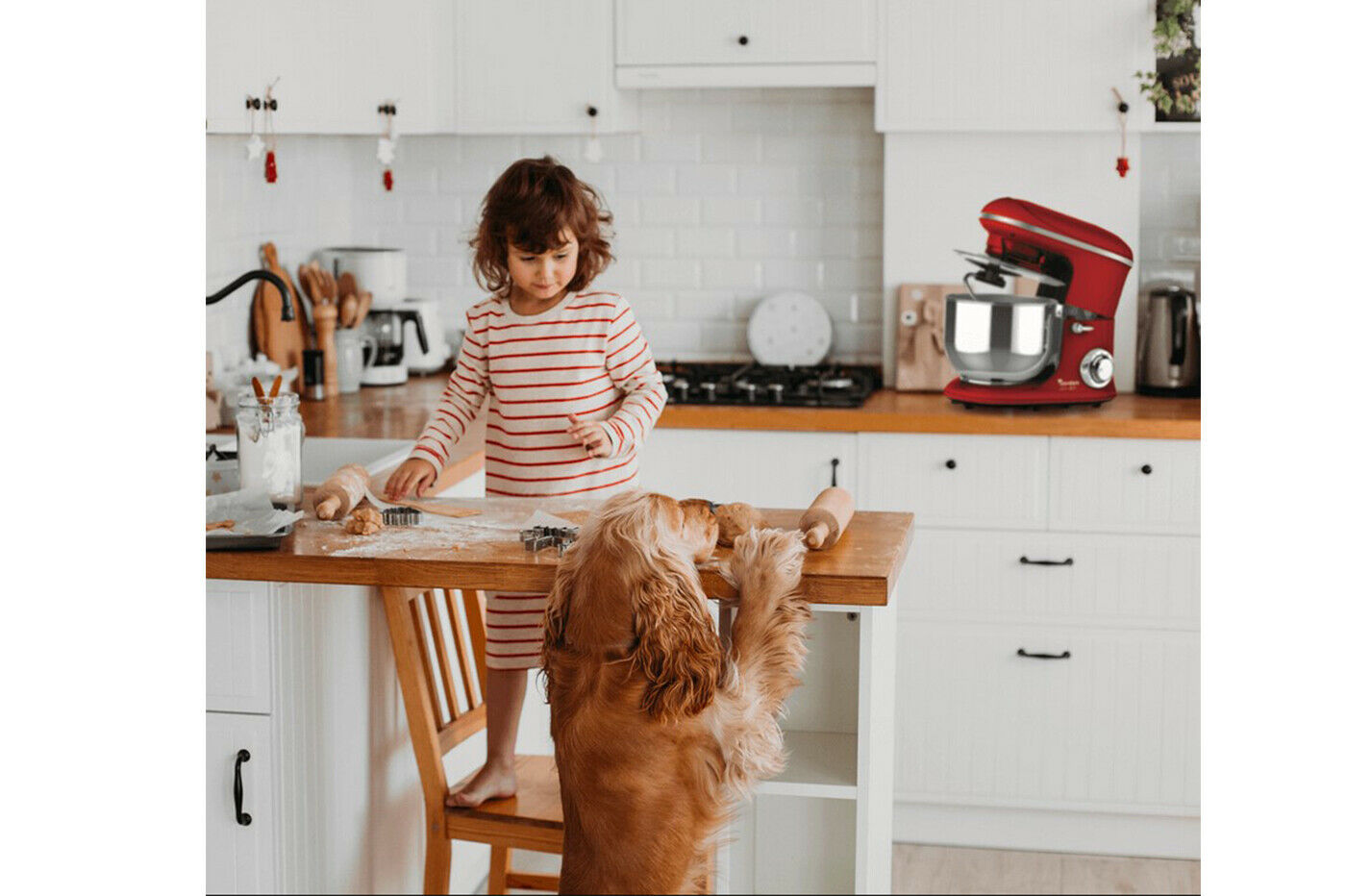 class=img-responsive