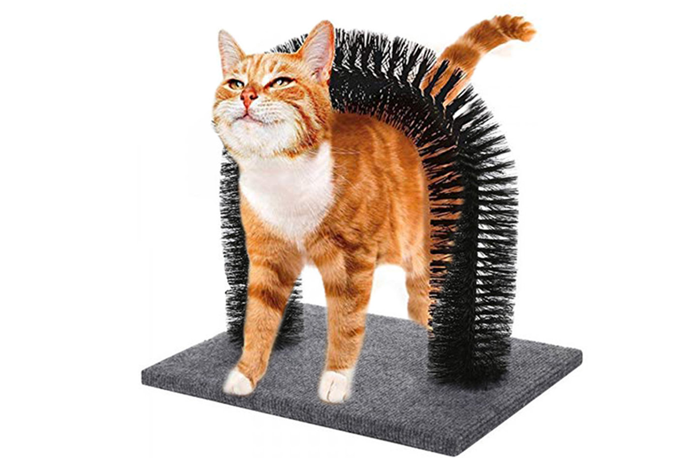 class=img-responsive