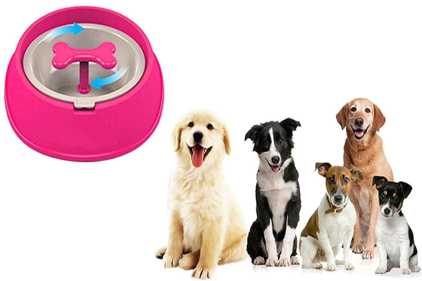 class=img-responsive