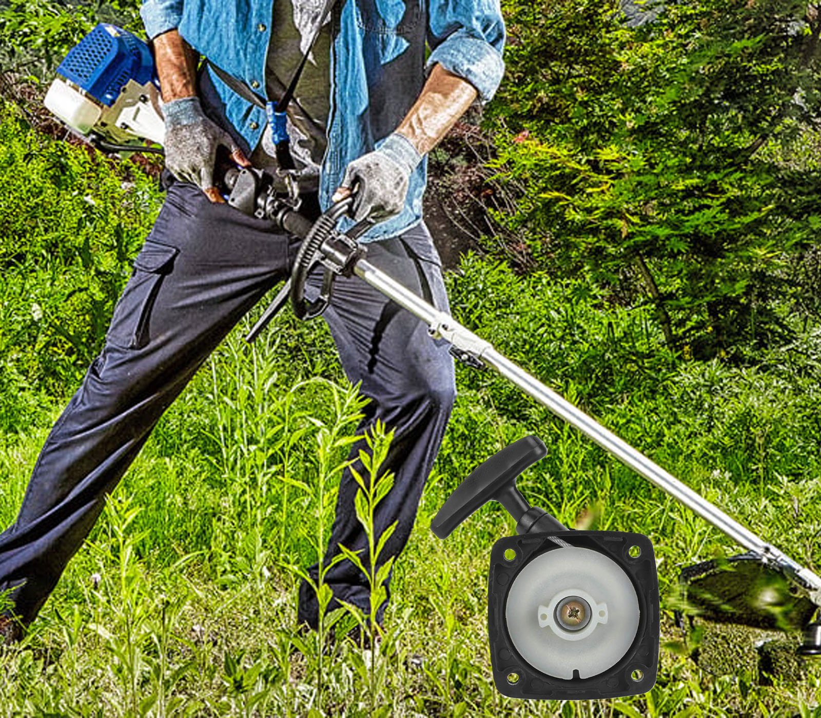 class=img-responsive