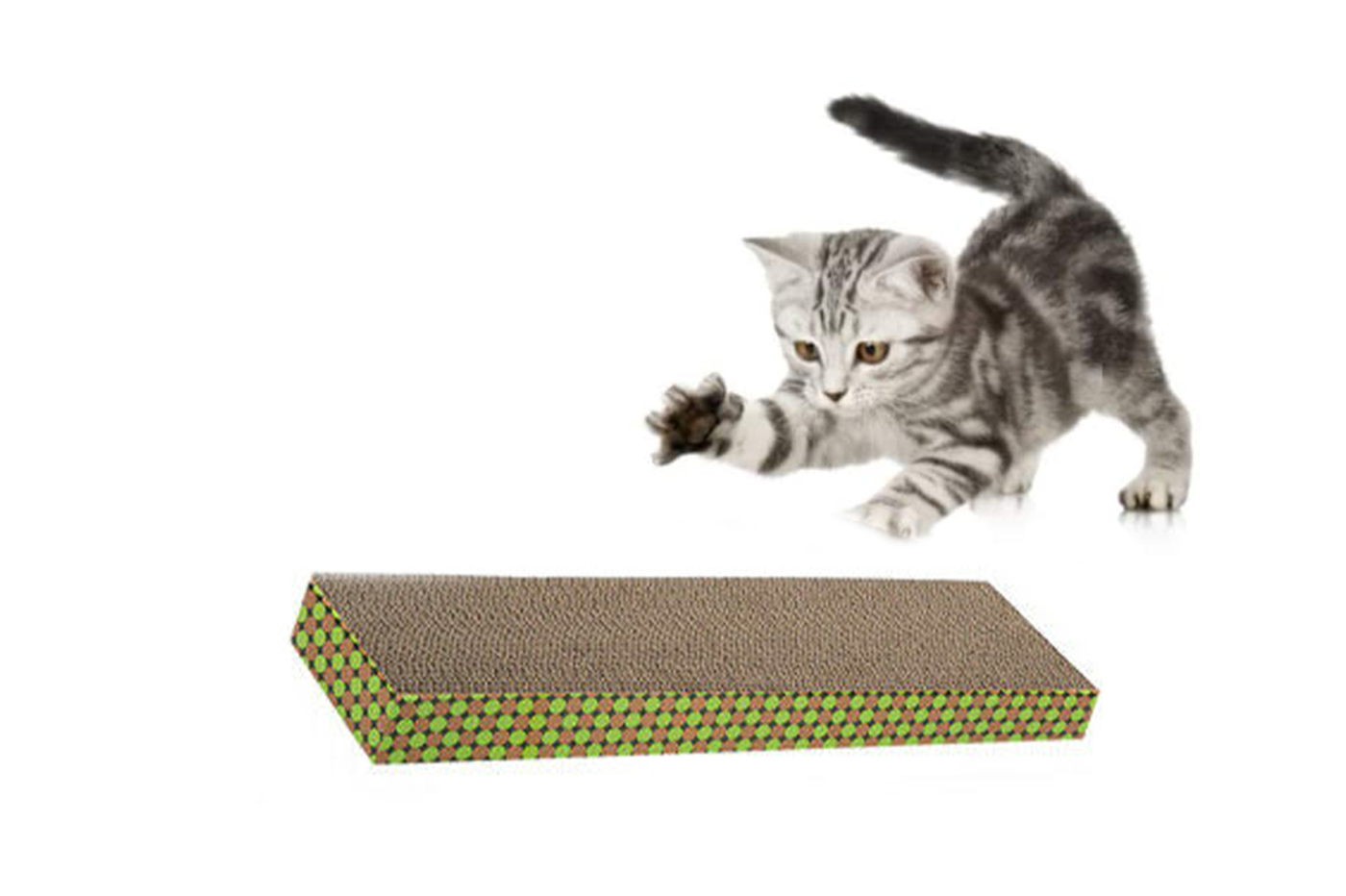 class=img-responsive