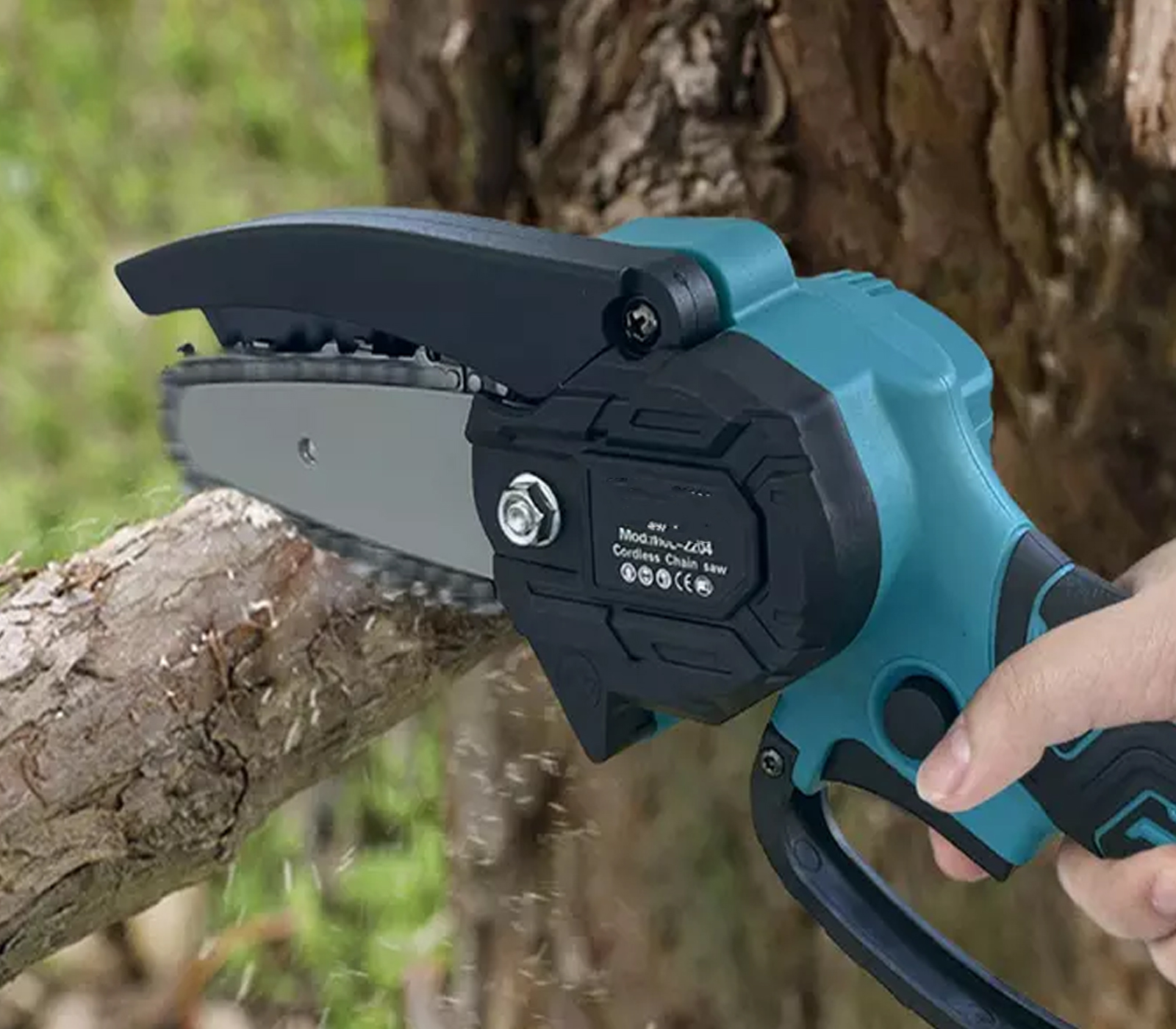 class=img-responsive