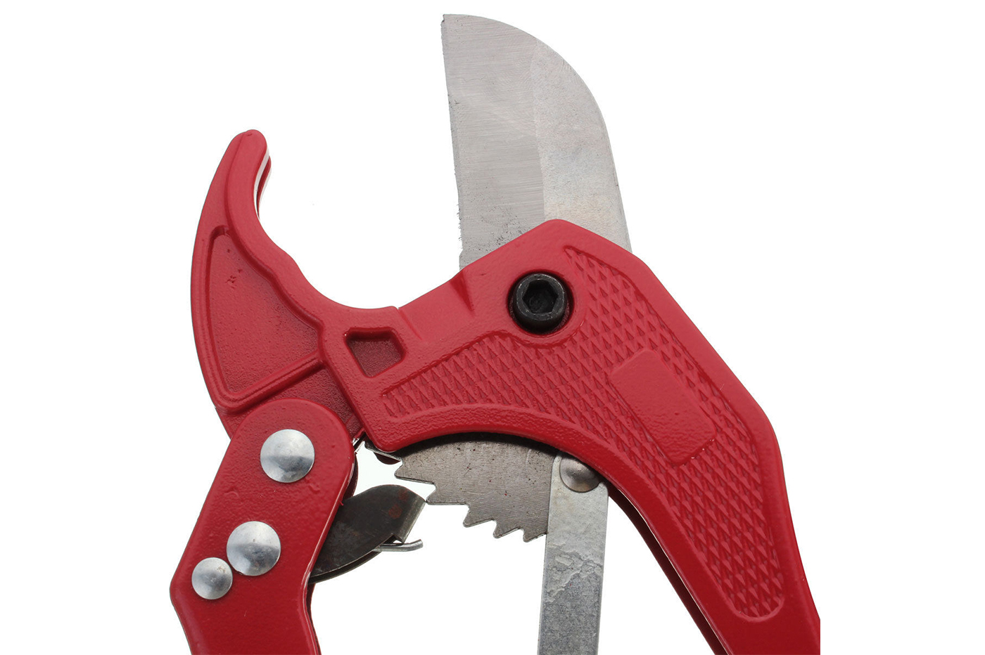 class=img-responsive