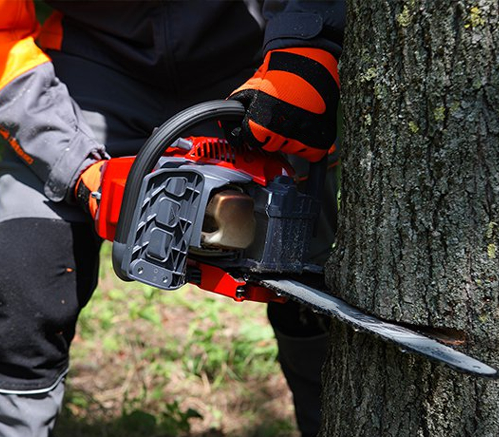 class=img-responsive