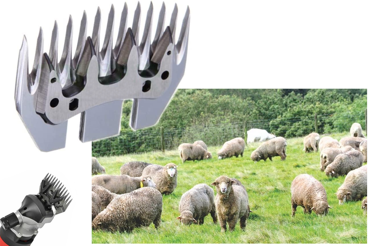 class=img-responsive